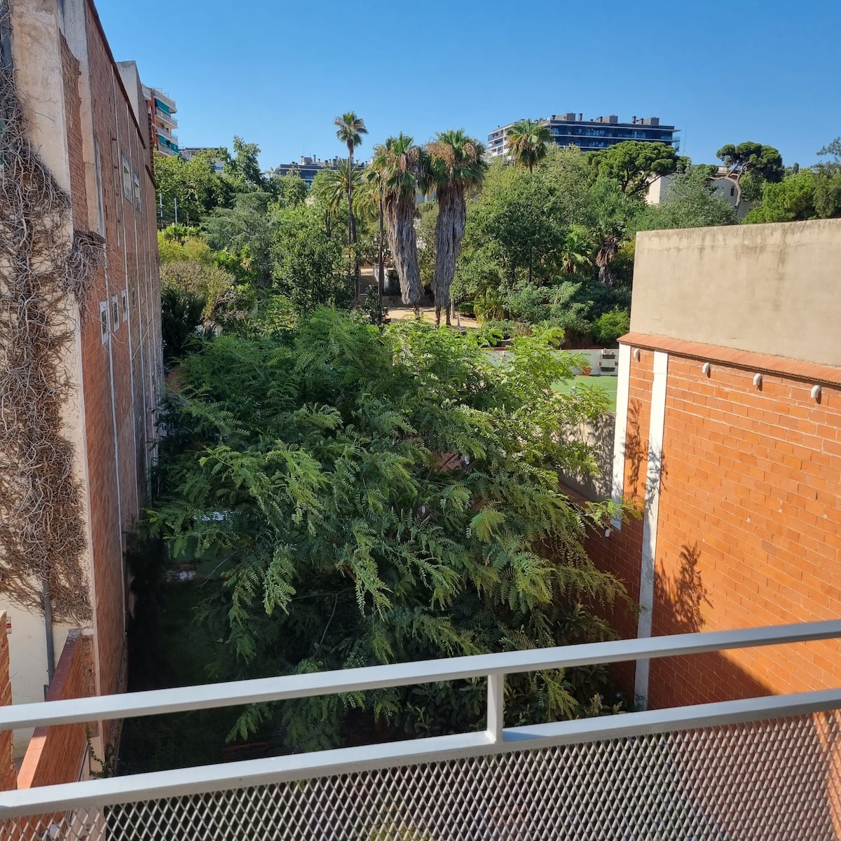 A view from the terrace showcases a lush tree and greenery, with a park visible in the distance. Brick buildings frame the scene, and a clear blue sky provides natural light throughout the area.