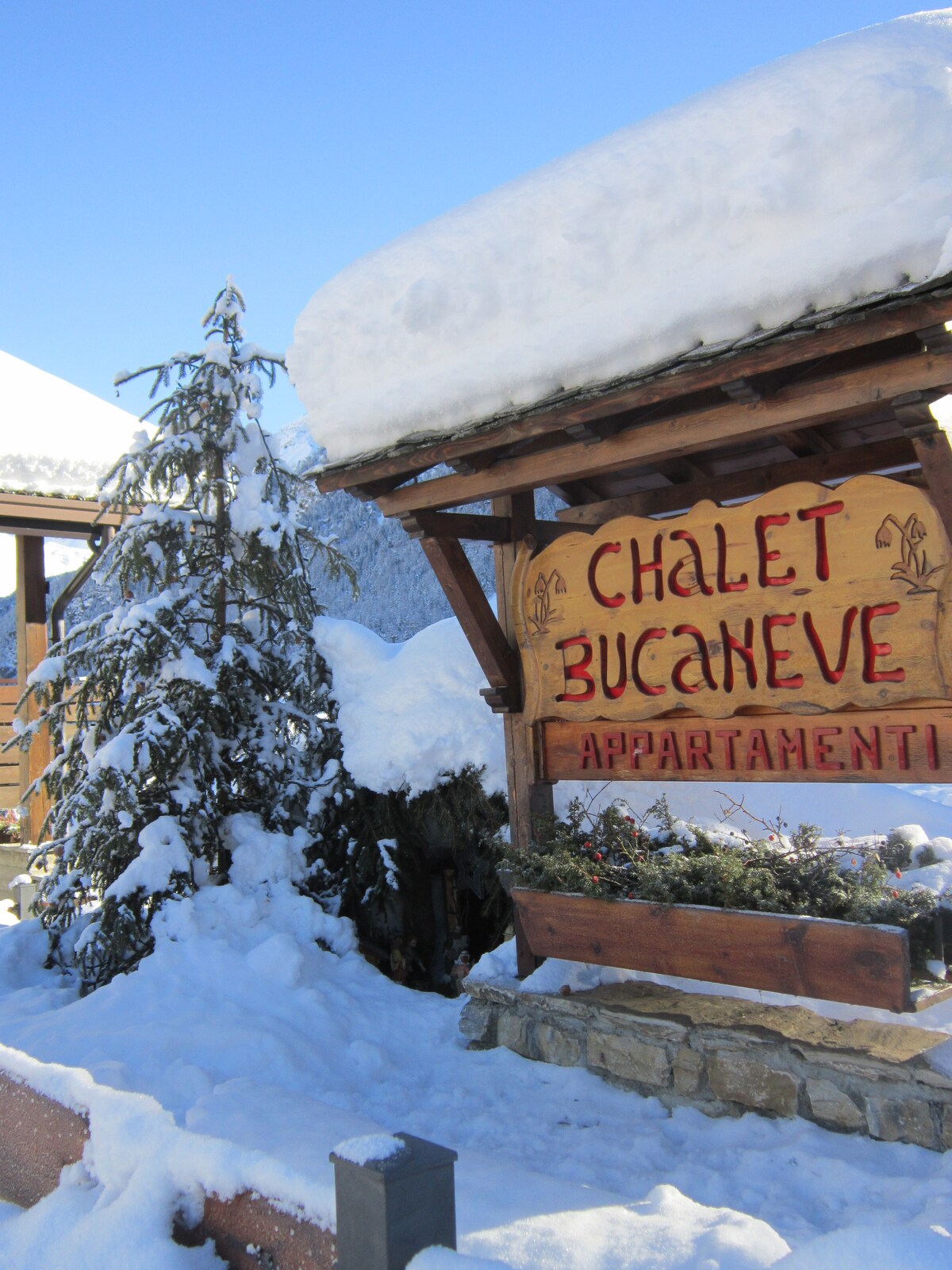 The entrance of Chalet Bucaneve is framed by snow-covered trees, with a wooden sign welcoming guests. The sign displays 'Chalet Bucaneve' prominently, while a small garden with greenery peeks through the fresh snow at the base.