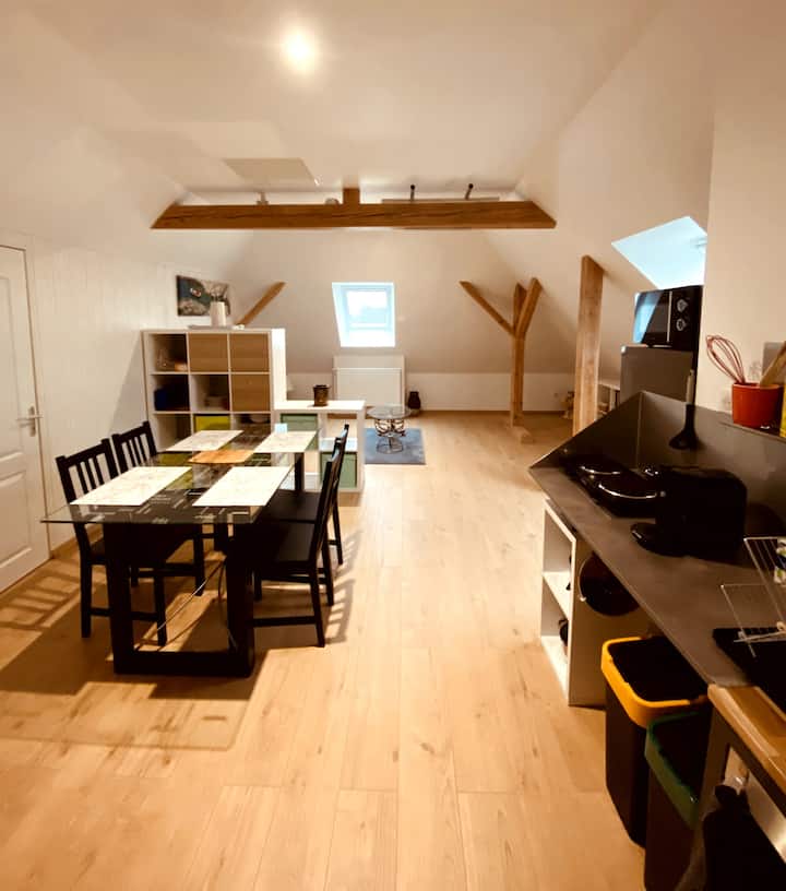 65 m2 apartment in the center of Alsace Apartments for Rent in