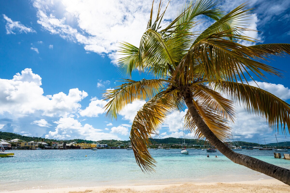 A serene beach scene features a gently swaying palm tree with golden fronds. The calm turquoise waters reflect fluffy white clouds above, while boats can be seen in the distance along the shoreline. Lush green hills create a backdrop, enhancing the coastal tranquility.