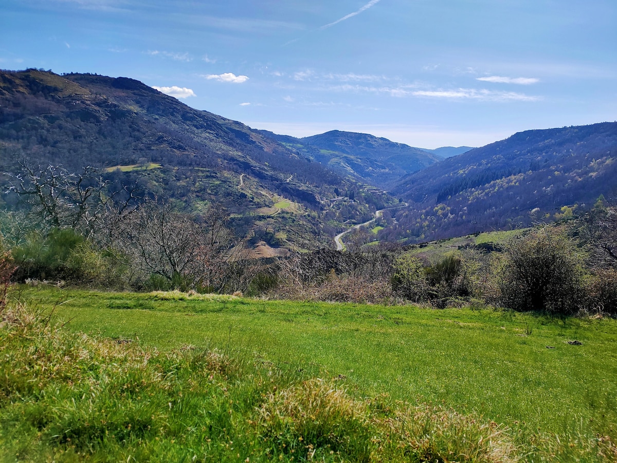 A sweeping view of lush green valleys is presented, framed by distant hills under a clear blue sky. The landscape is dotted with patches of trees and shrubs, with a winding road elegantly tracing through the scene.