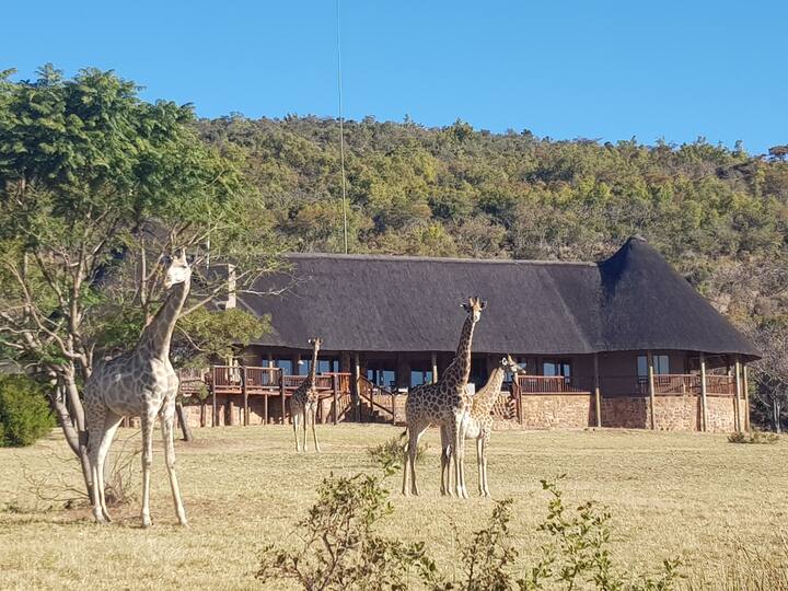 Mokolo Dam Vacation Rentals & Homes - Limpopo, South Africa | Airbnb