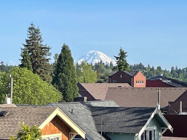 La Stella – An Oasis in the City for large groups gallery image 5