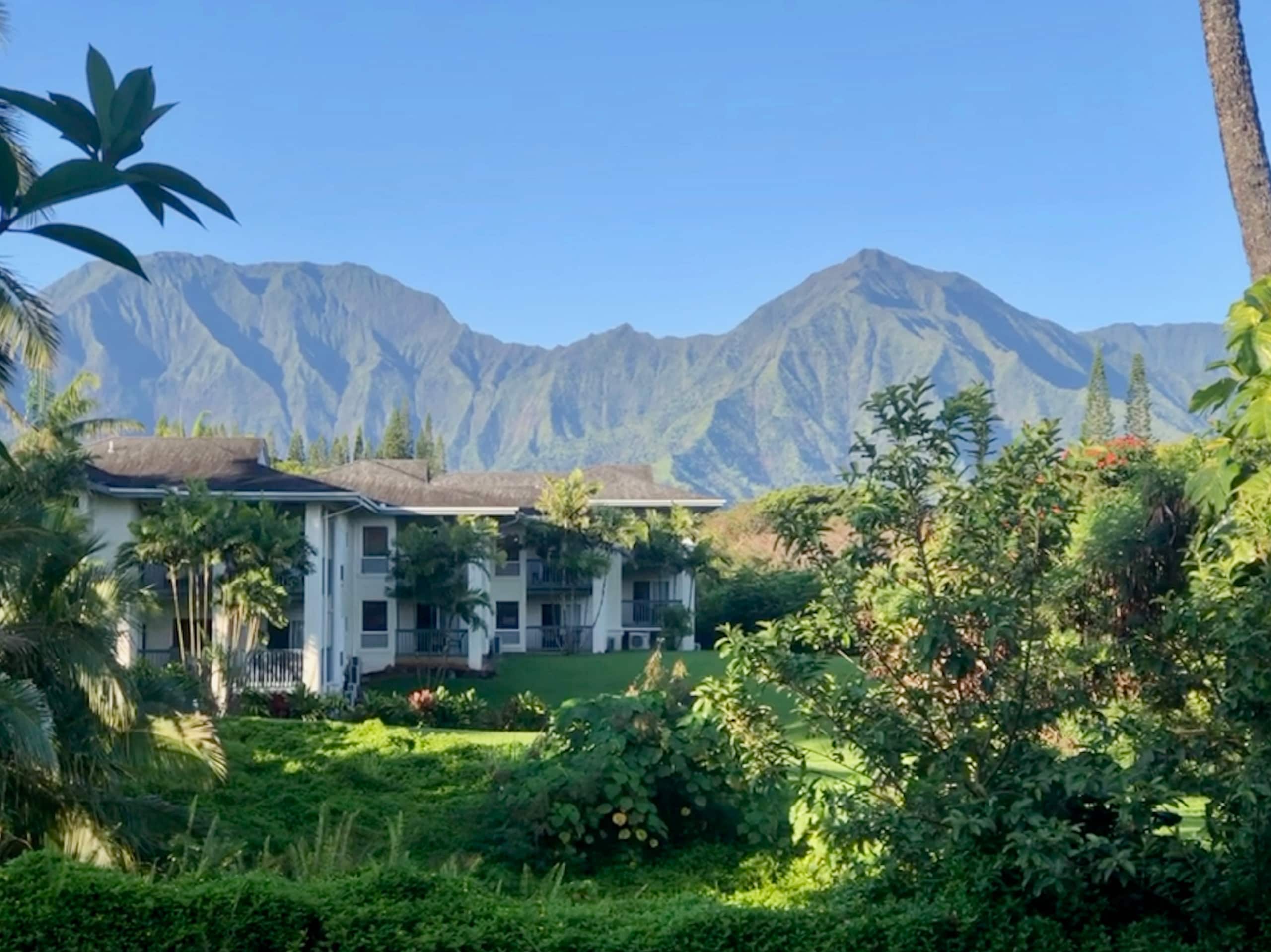 Condo in Princeville · ★4.89 · 2 bedrooms · 3 beds · 2 baths - Image 20