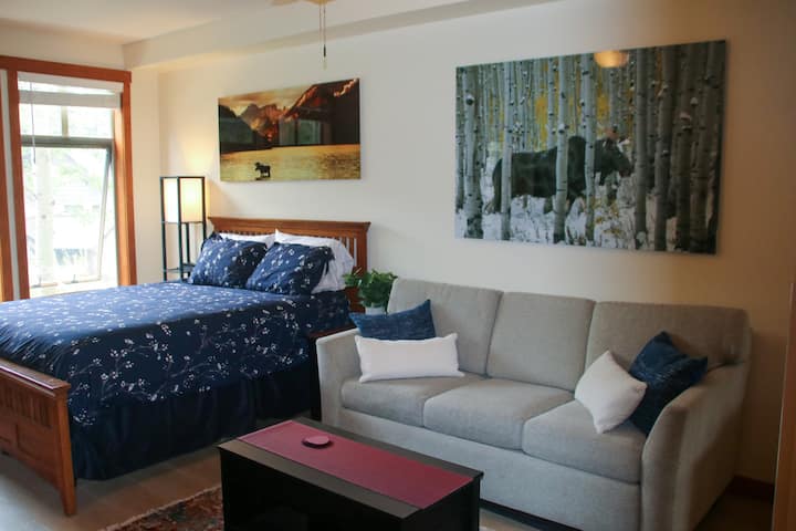 El dormitorio extragrande cuenta con un cómodo colchón tamaño queen, sofá cama, cómoda, puertos de carga USB y C en mesitas de noche, televisión montada en la pared y una mesa de café que se convierte en un escritorio cuando se abre. El dormitorio tiene su propio termostato.
