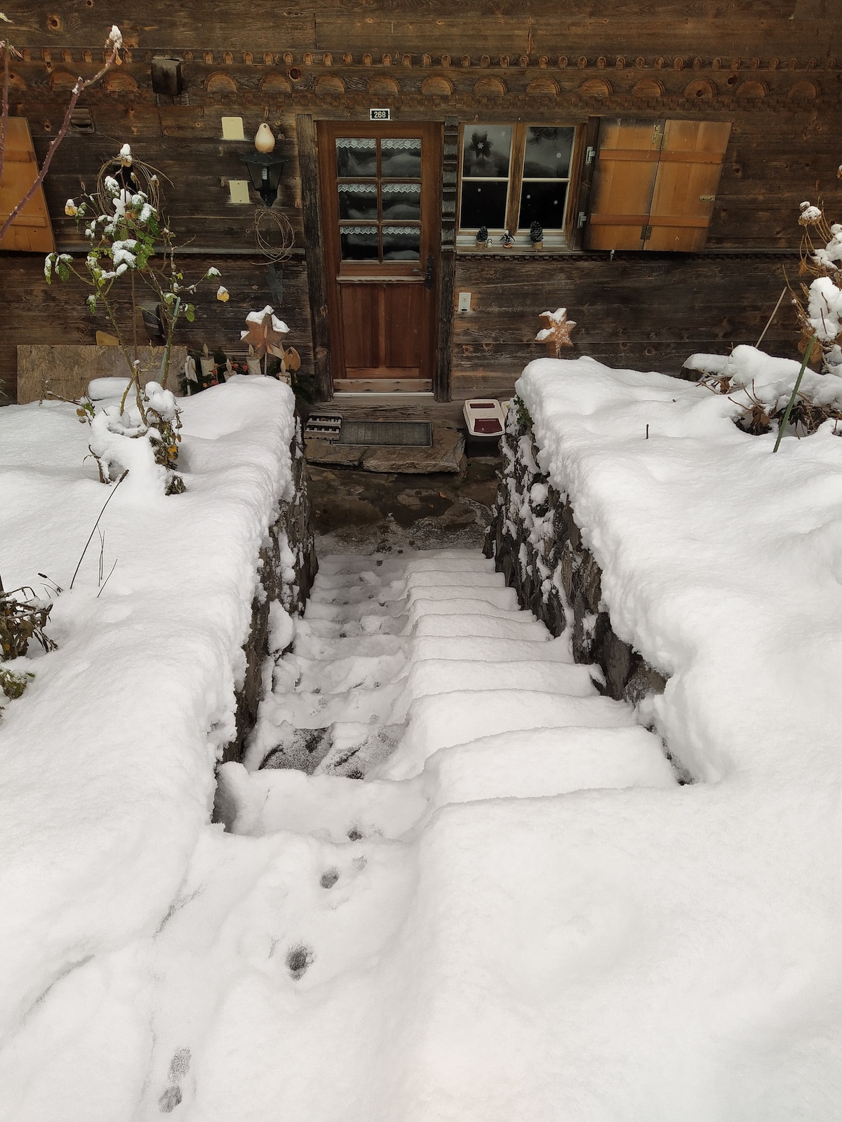 A set of stone steps leads down from a rustic wooden entrance, framed by freshly fallen snow. The pathway is flanked by snow-covered ground and plants. The door is partially visible at the top, accented by wooden shutters and warm outdoor lighting.