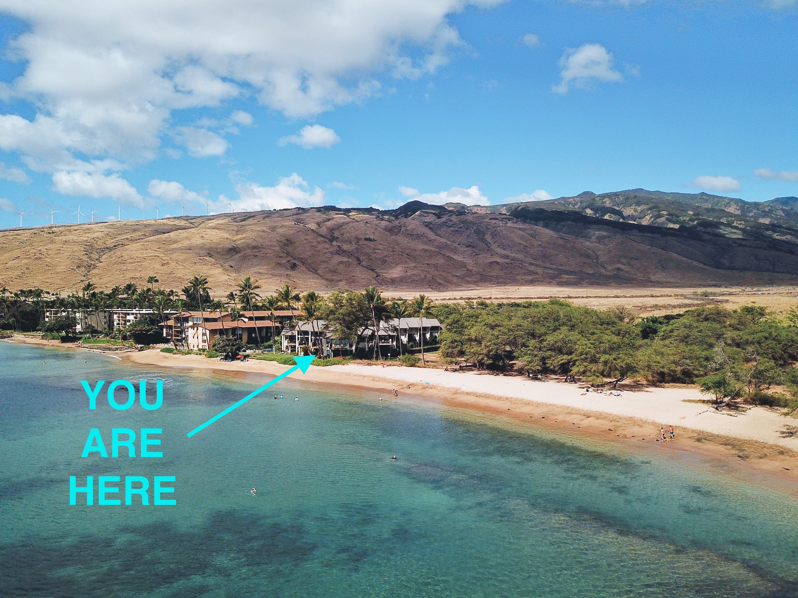 Condo in Wailuku · ★4.98 · 1 bedroom · 2 beds · 1 bath - Image 1