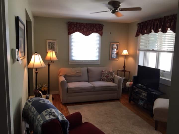 Obývacia izba s rozkladacou pohovkou. 