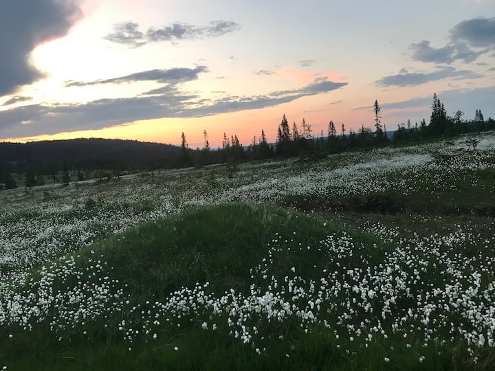 torpa single göra på dejt i ödåkra