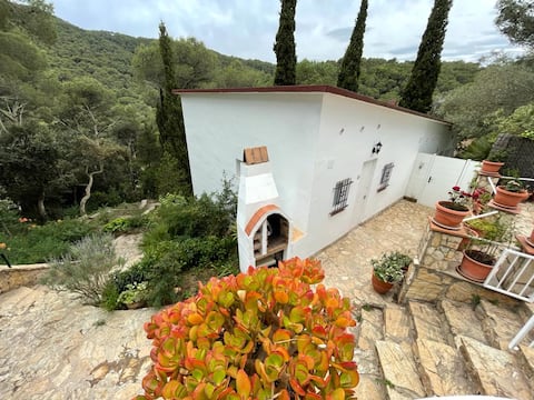Quiet tiny house between pine trees near the beach