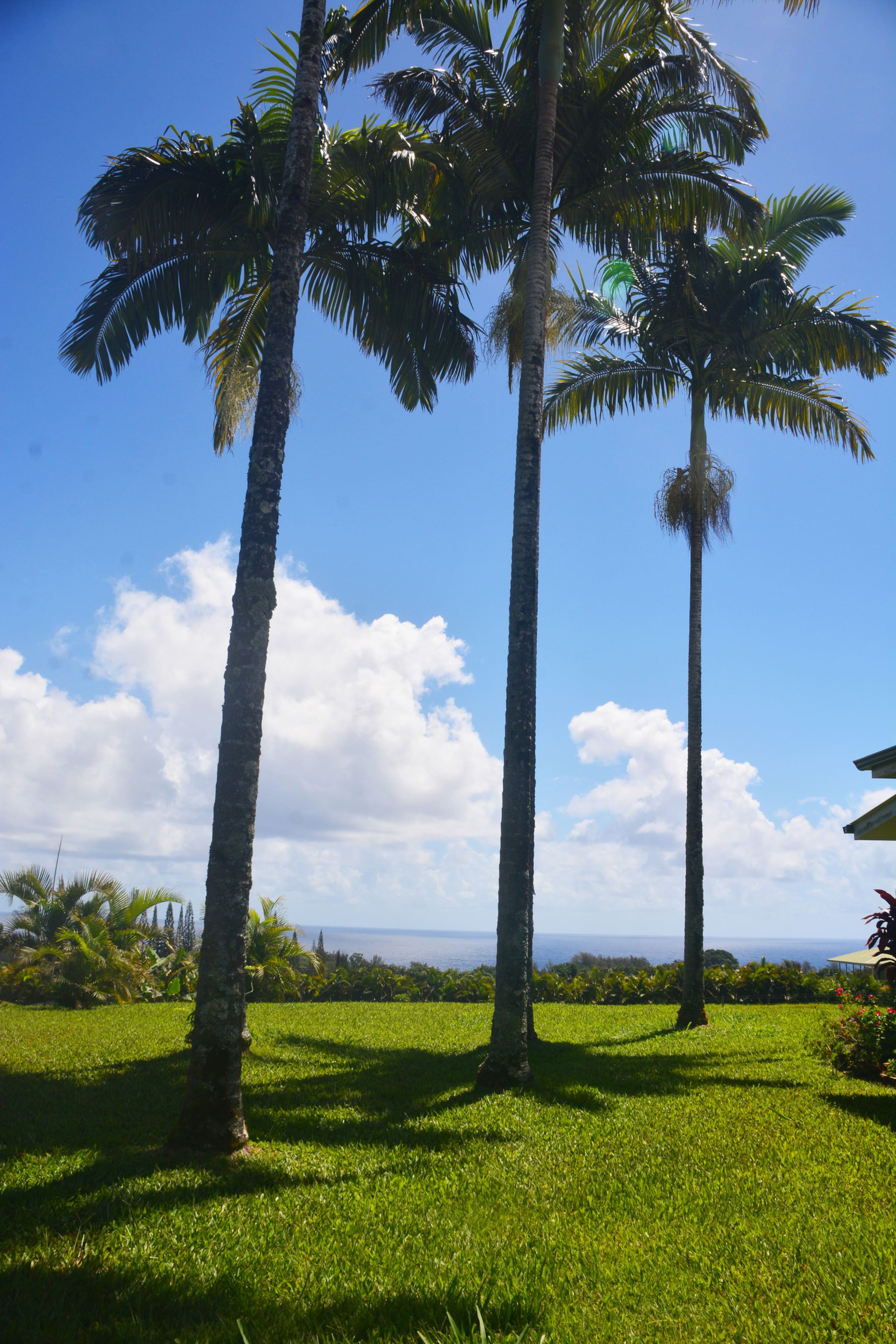 Home in Pepeekeo · ★4.94 · 2 bedrooms · 2 beds · 2 baths - Photo 21