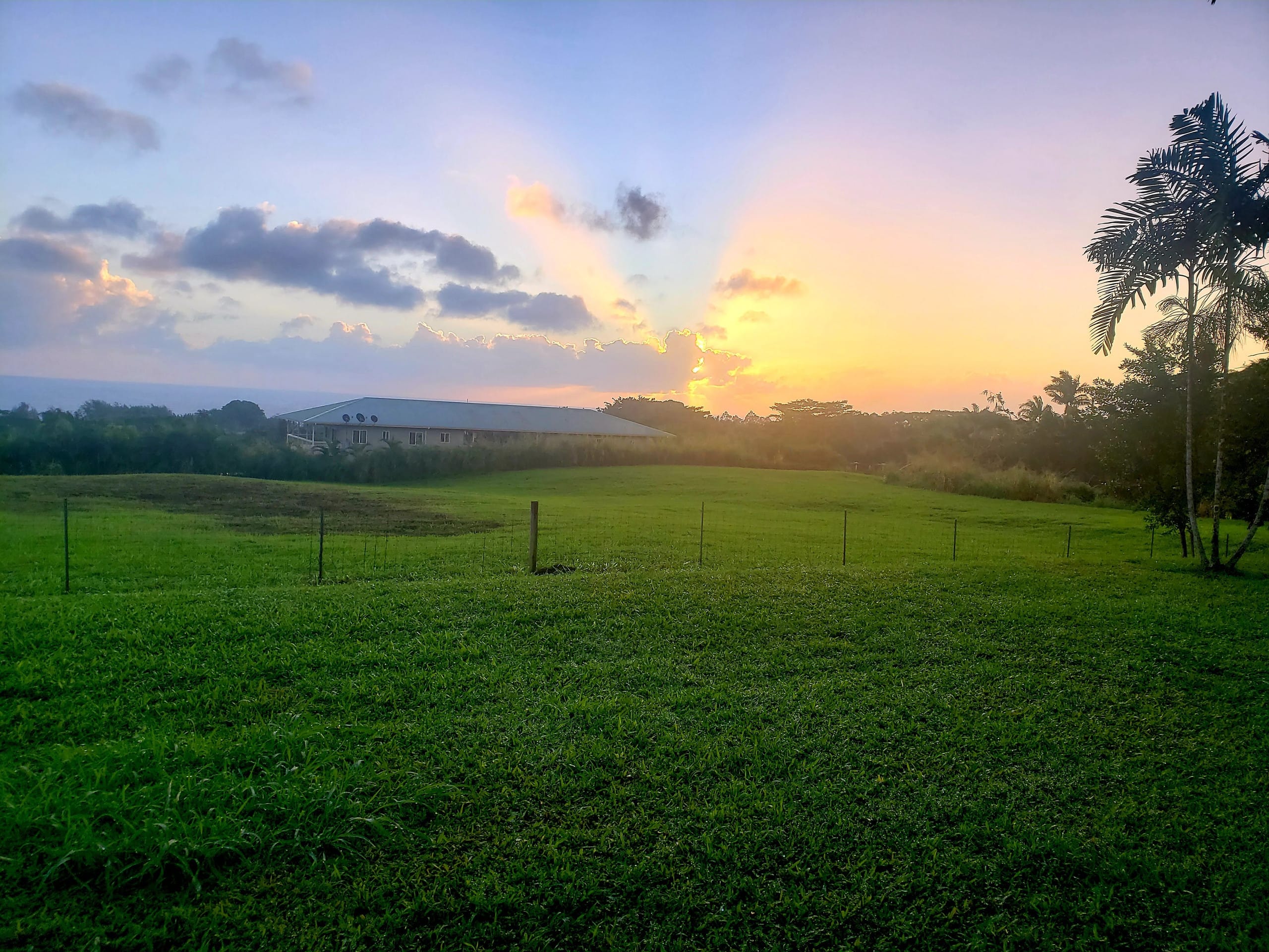 Home in Pepeekeo · ★4.94 · 2 bedrooms · 2 beds · 2 baths - Photo 20