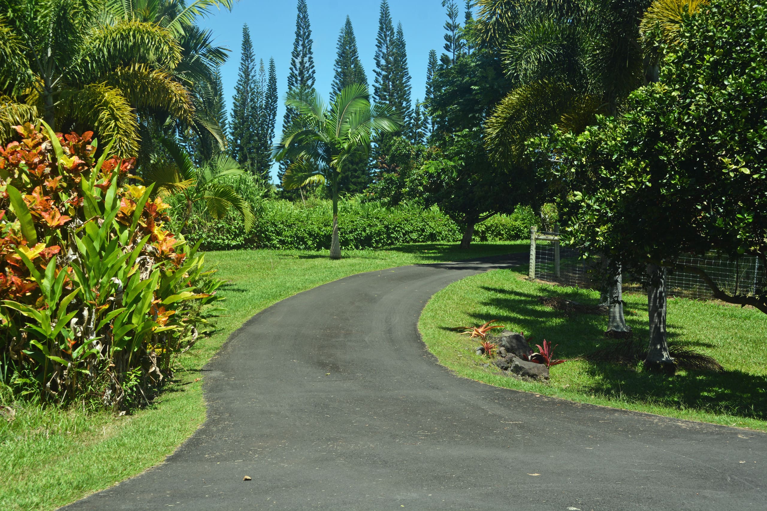 Home in Pepeekeo · ★4.94 · 2 bedrooms · 2 beds · 2 baths - Photo 32
