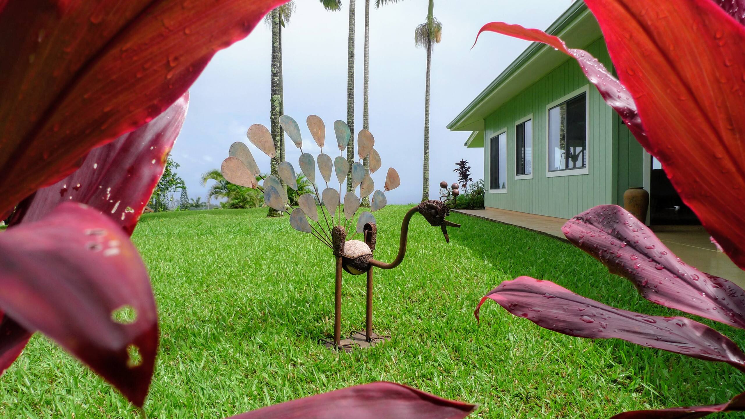 Home in Pepeekeo · ★4.94 · 2 bedrooms · 2 beds · 2 baths - Photo 23