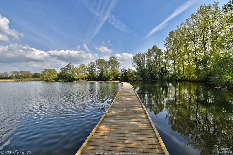 A wooden walkway stretches over calm waters, framed by lush greenery and trees. The blue sky overhead is filled with wispy clouds, creating a serene atmosphere. Reflections of the trees and sky can be seen in the still water, enhancing the tranquility of the scene.