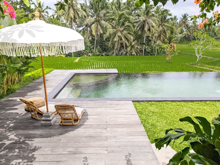 TERRACE 2 Bedroom Villa With Private Pool Houses For Rent In terrace-2-bedroom-villa-with-private-pool-houses-for-rent-in