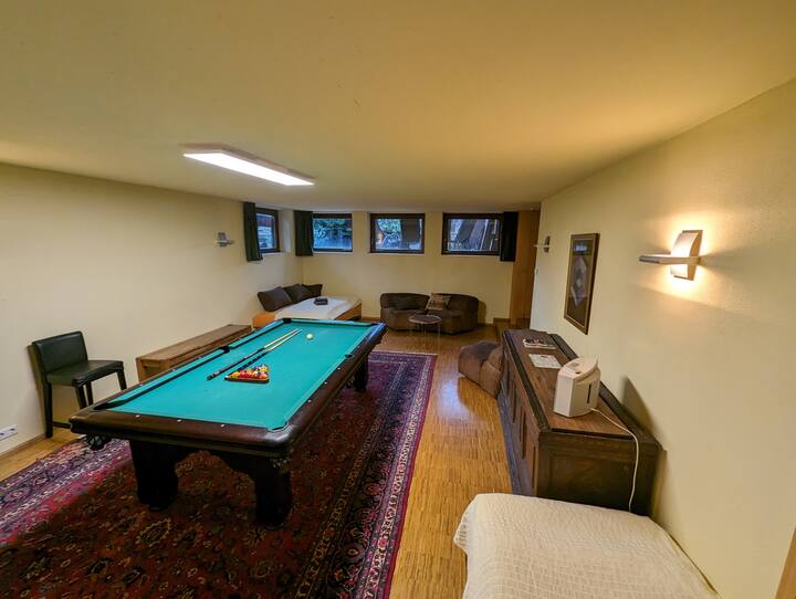 Билијард соба со два кревета (кауч на спуштање и единечен кревет)