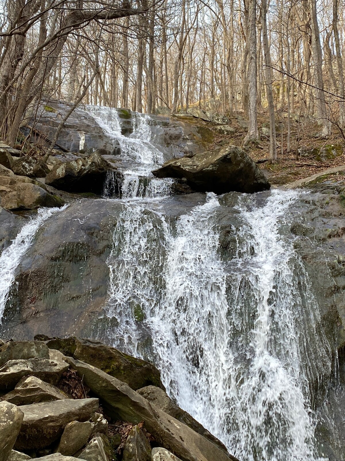A cascading waterfall flows over rugged, moss-covered rocks, creating a serene scene. Surrounding trees are bare, indicating a transition between seasons. Water splashes and streams down, framed by the natural stone formations and earthy tones of the landscape.