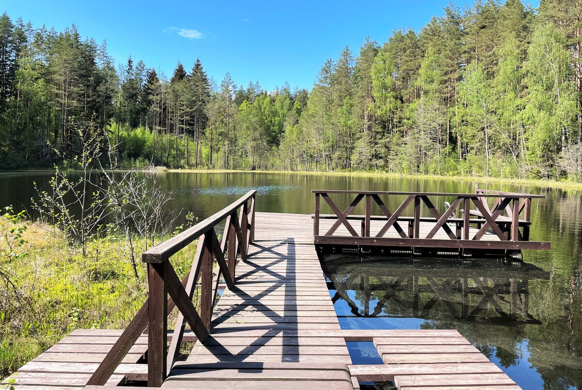 A wooden dock extends over the calm waters of a small lake, surrounded by lush greenery and tall trees that reflect in the water. The clear blue sky enhances the serene setting, creating a peaceful spot for relaxation and enjoying nature.