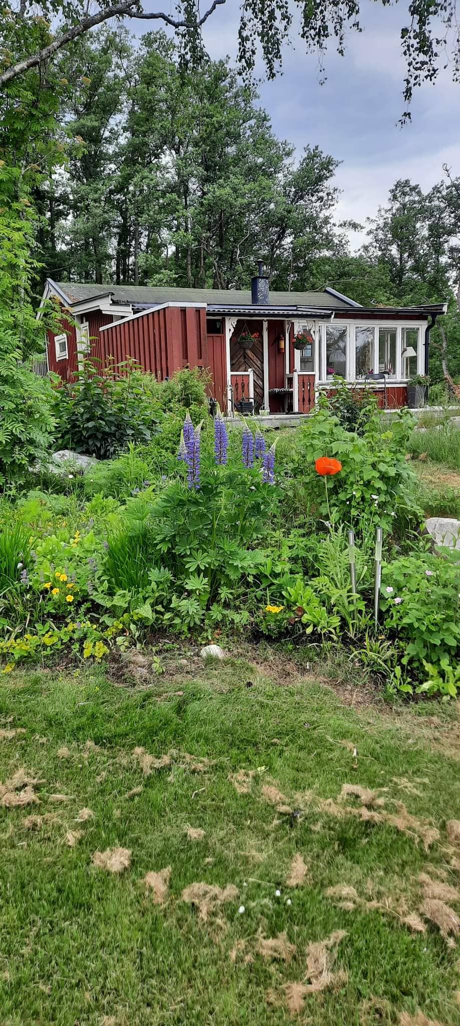 A charming cottage is surrounded by lush greenery and vibrant flower beds, featuring tall purple flowers and orange blooms. The structure showcases a small porch with a roof, integrating with the natural landscape. The garden brings a sense of tranquility, ideal for relaxation.