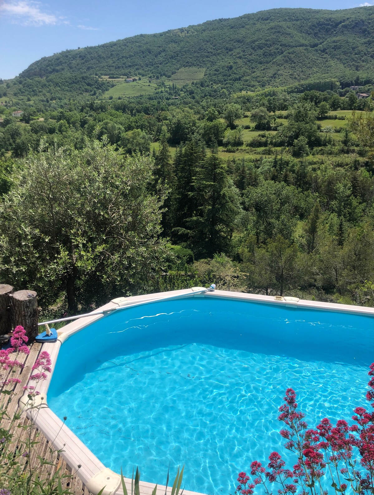 A circular salt-water pool is set against a backdrop of lush, green hills and a vibrant landscape. The clear blue water reflects the sunlight, while wildflowers in shades of pink are visible at the edge of the pool, contributing to a serene outdoor setting.