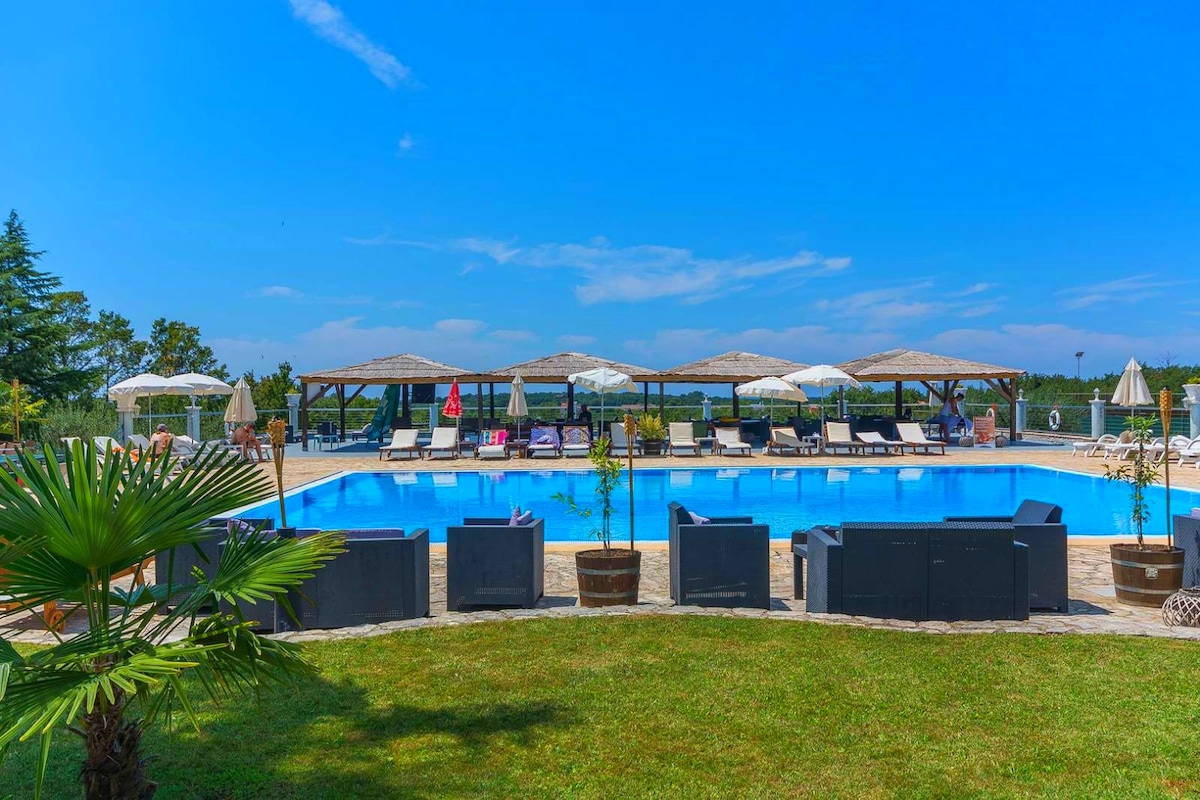 A spacious outdoor area features a large swimming pool surrounded by shaded lounge chairs and umbrellas. Potted plants add greenery to the landscape, while wooden pergolas provide additional shaded seating. The clear blue sky enhances the inviting atmosphere of the pool area.