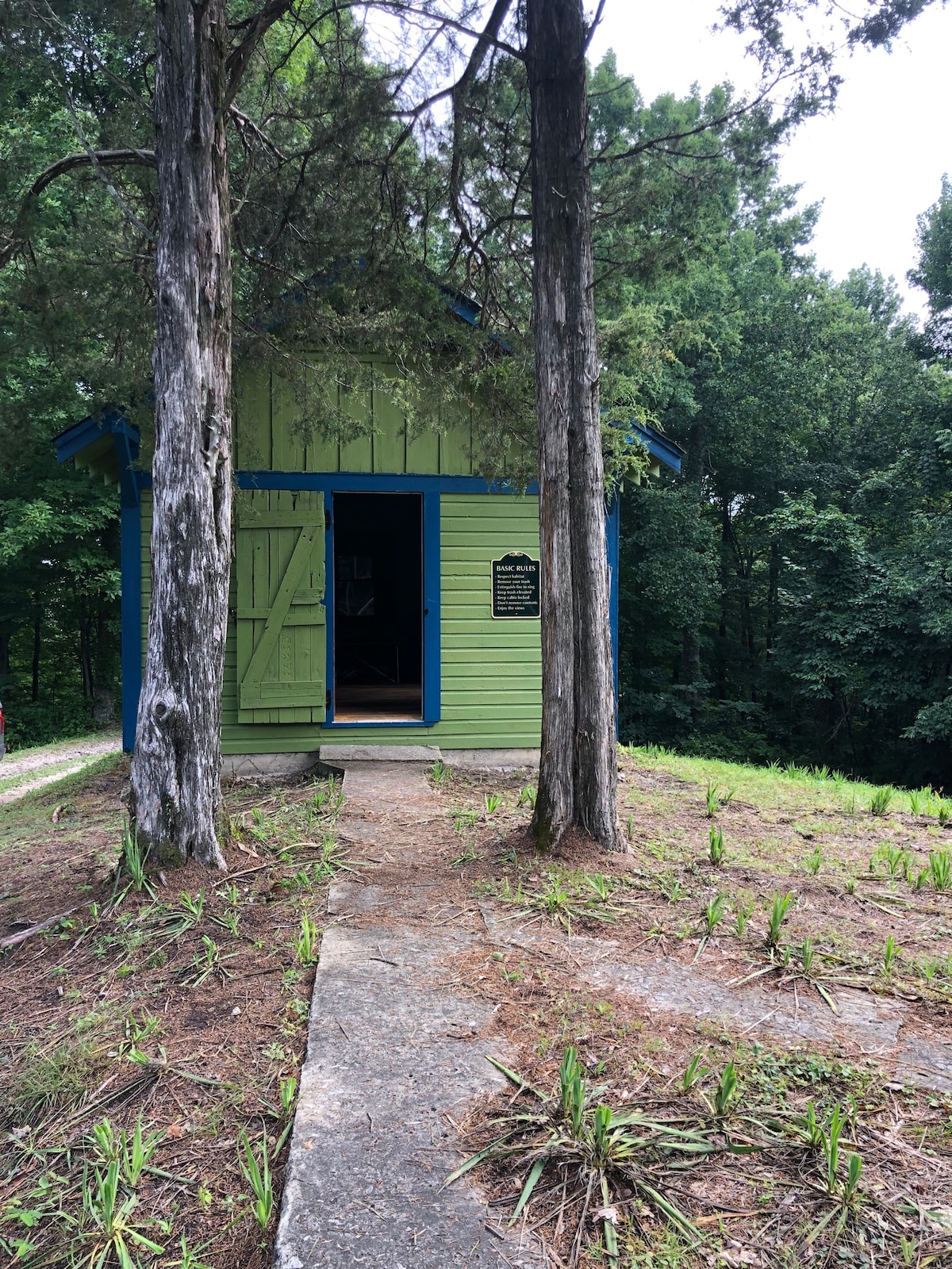 A small, brightly colored bunkhouse is surrounded by tall trees, with a clear path leading to its entrance. The structure features a vibrant green exterior with blue accents and a sign mounted beside the door. Lush greenery is visible in the background.
