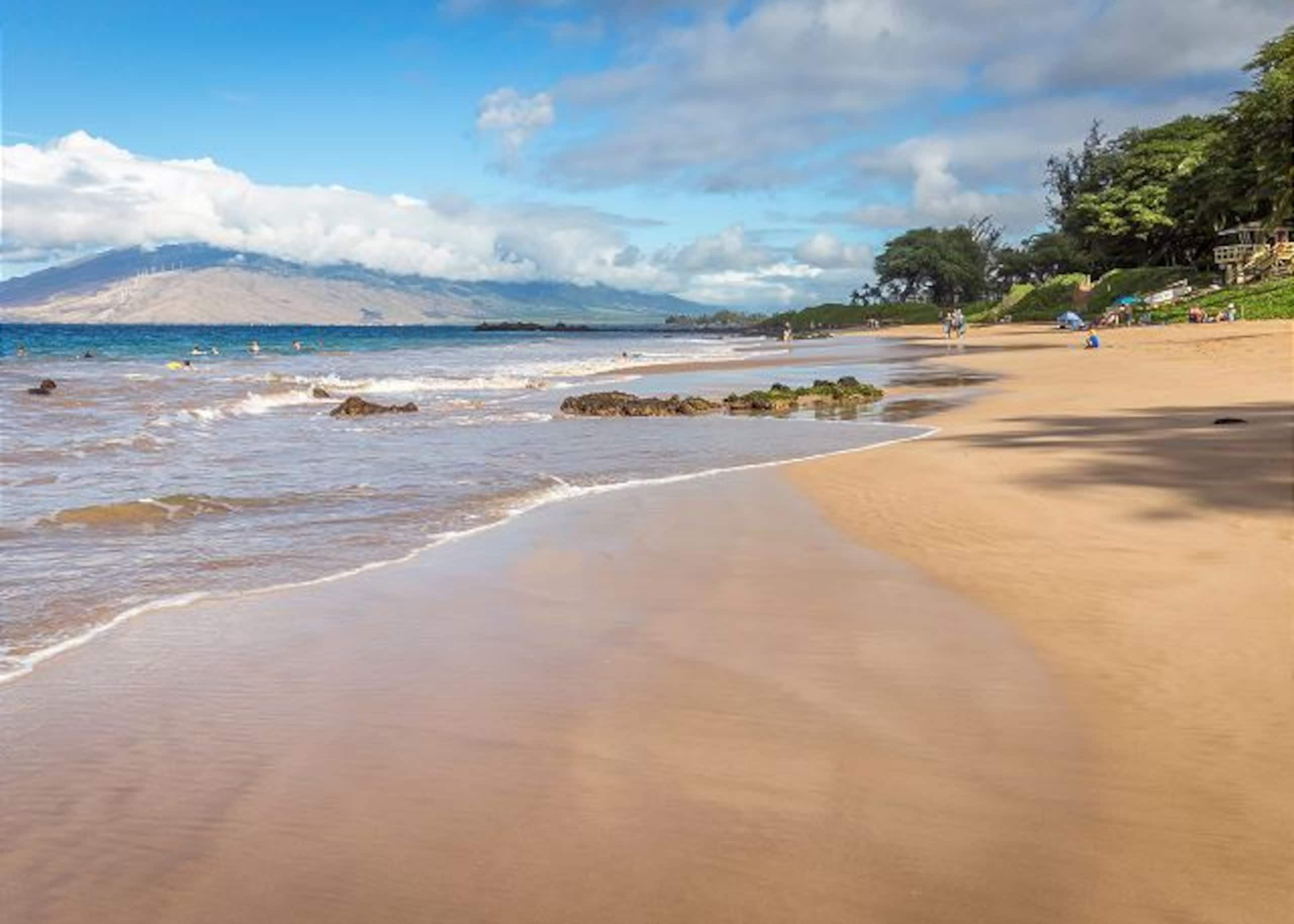 Condo in Kihei · ★4.81 · 1 bedroom · 2 beds · 2 private baths - Image 56