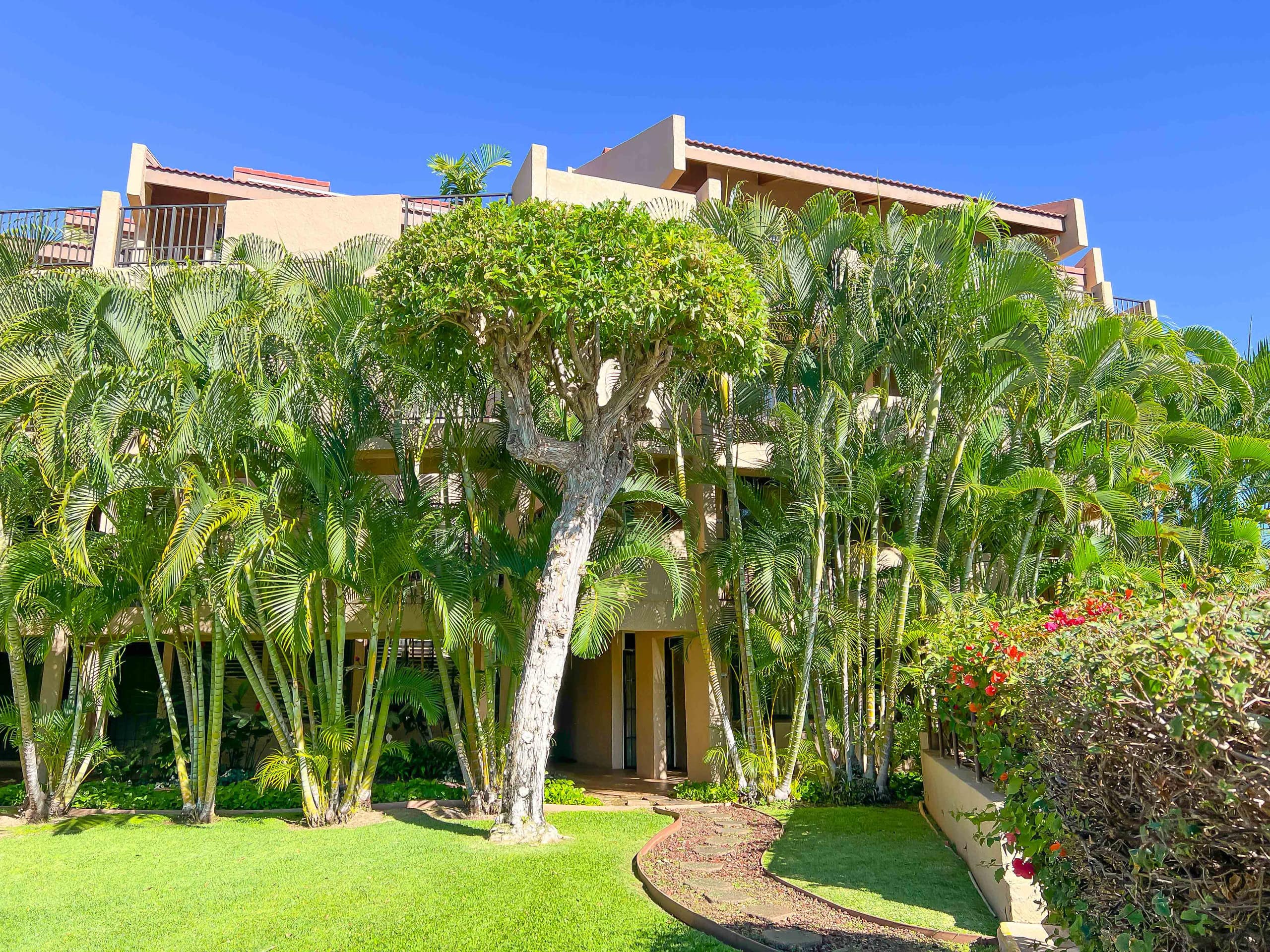 Condo in Kihei · ★4.81 · 1 bedroom · 2 beds · 2 private baths - Image 38