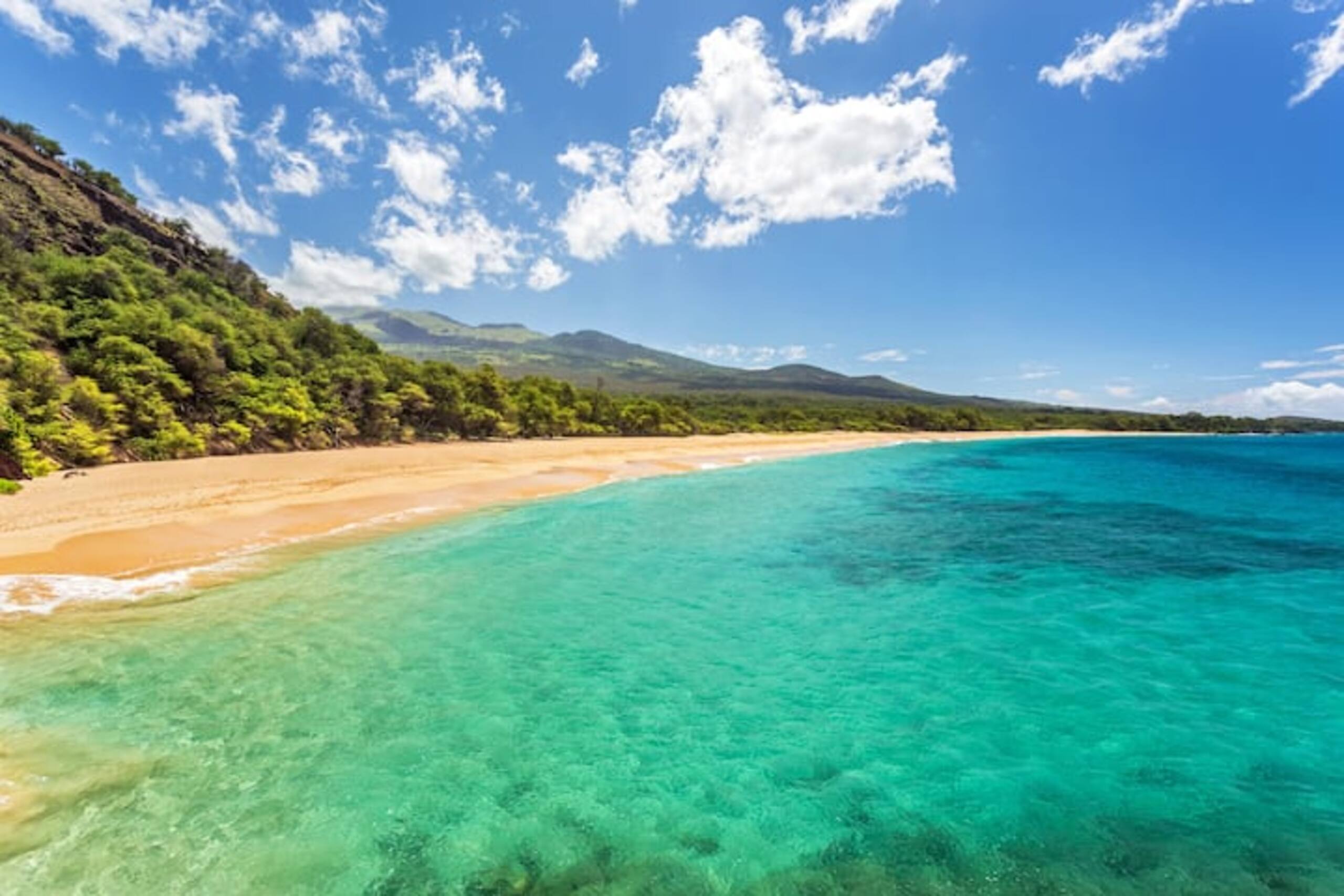 Condo in Kihei · ★4.81 · 1 bedroom · 2 beds · 2 private baths - Image 55