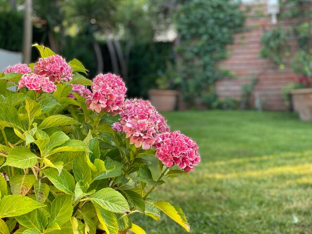 CASA CON ENCANTO con JARDIN a 400 mts de la PLAYA gallery image 4