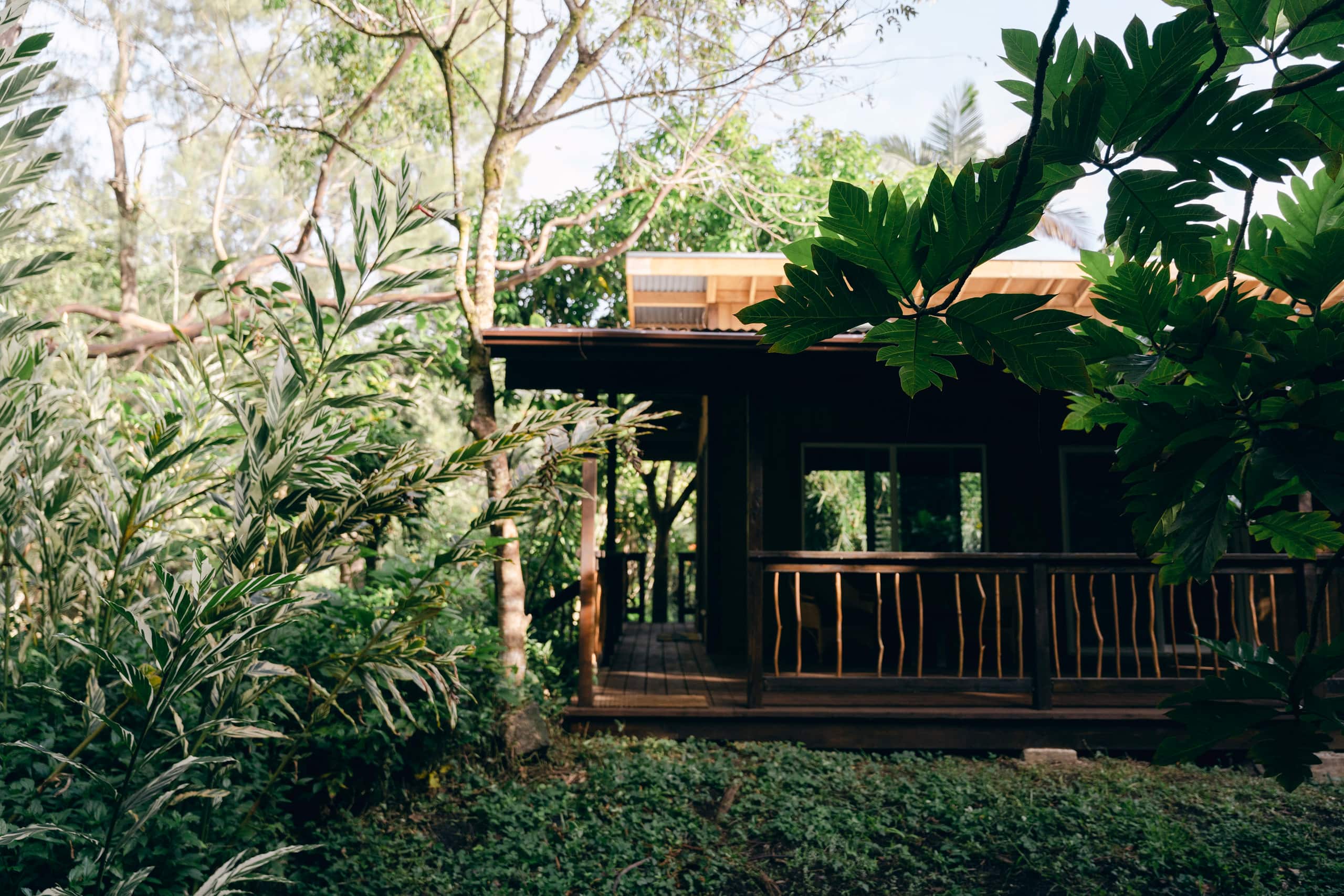 Cabin in Pahoa · ★4.96 · 1 bedroom · 4 beds · 1 private bath - Image 35
