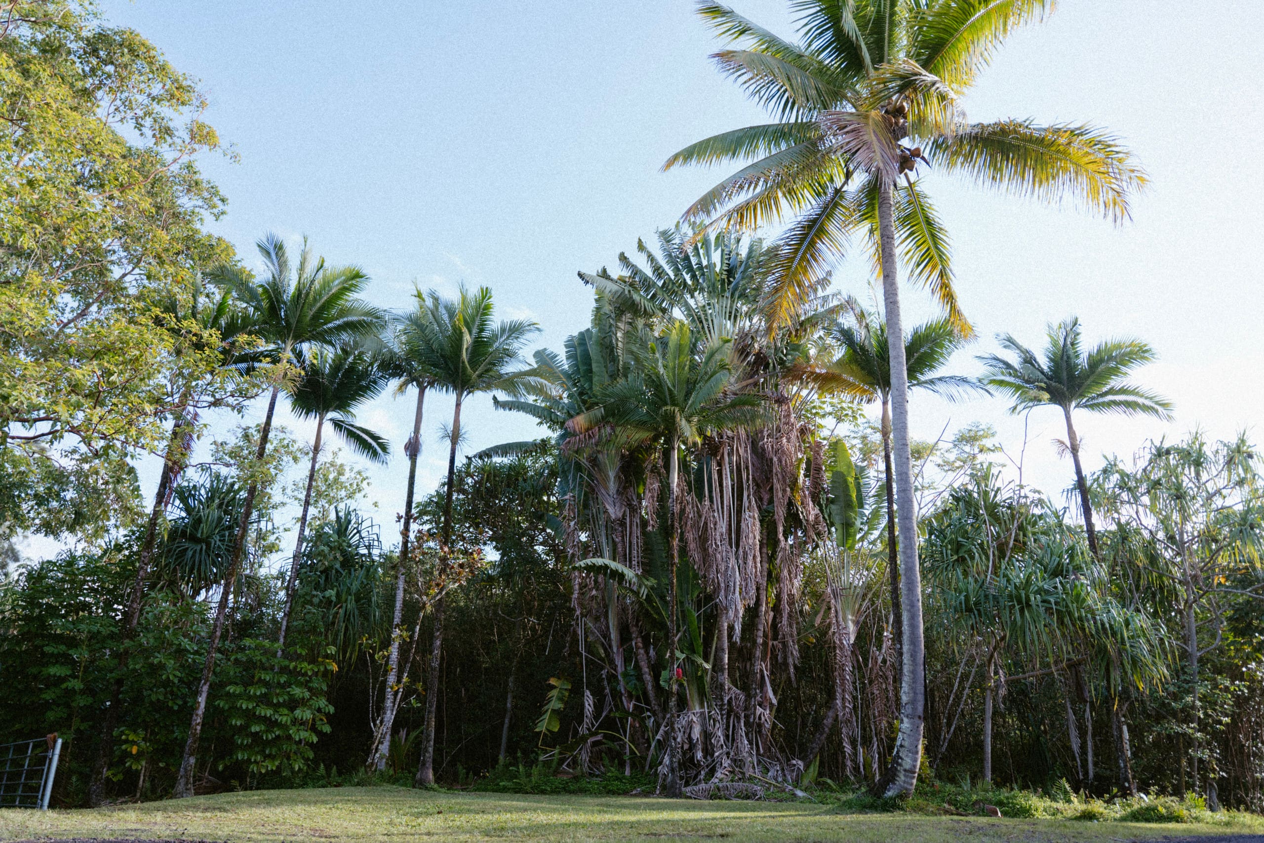 Cabin in Pahoa · ★4.96 · 1 bedroom · 4 beds · 1 private bath - Image 39