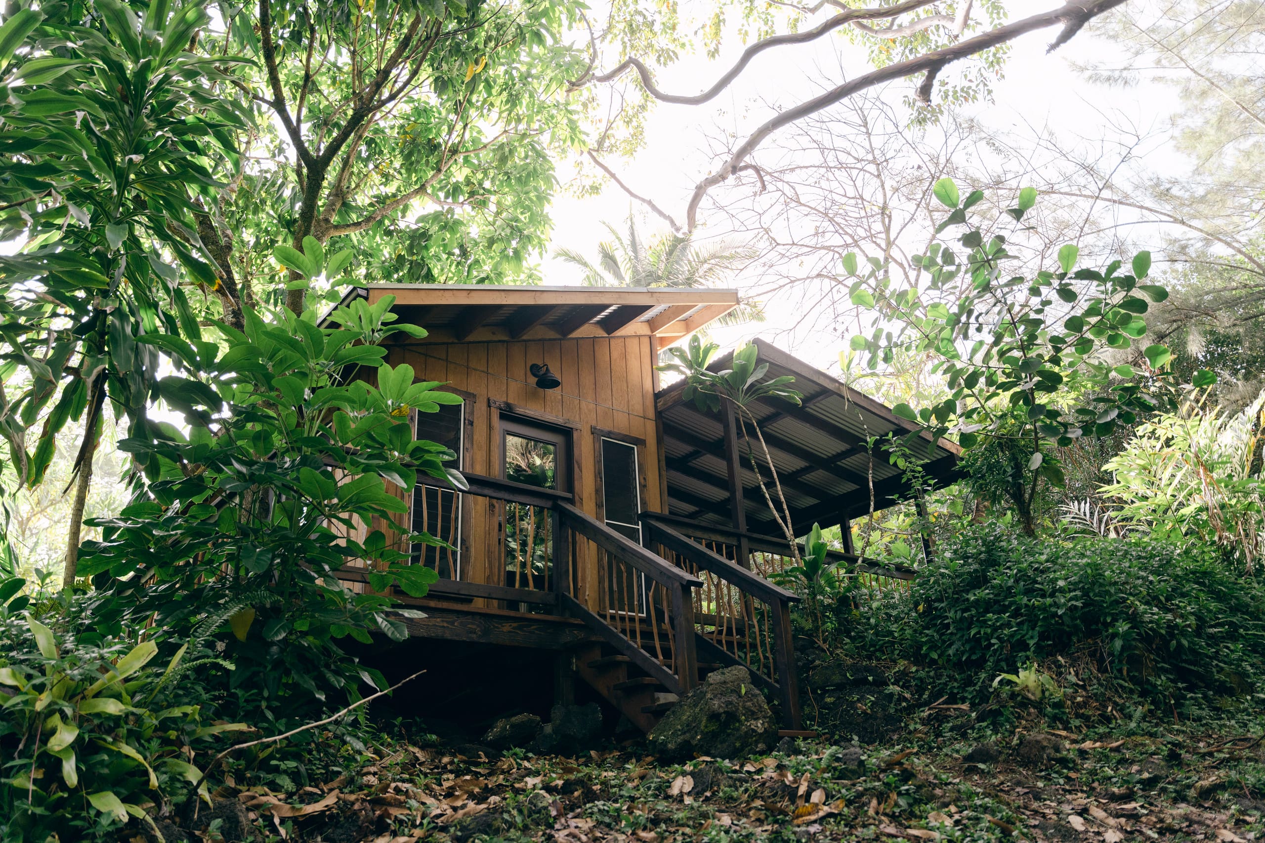 Cabin in Pahoa · ★4.96 · 1 bedroom · 4 beds · 1 private bath - Image 1