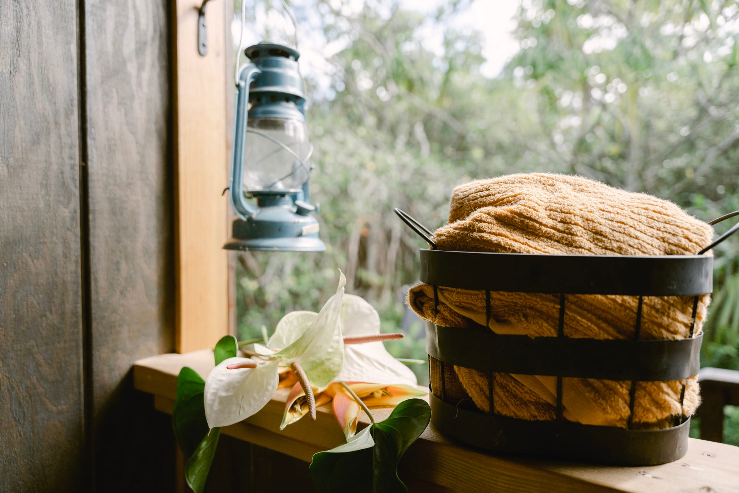 Cabin in Pahoa · ★4.96 · 1 bedroom · 4 beds · 1 private bath - Image 18