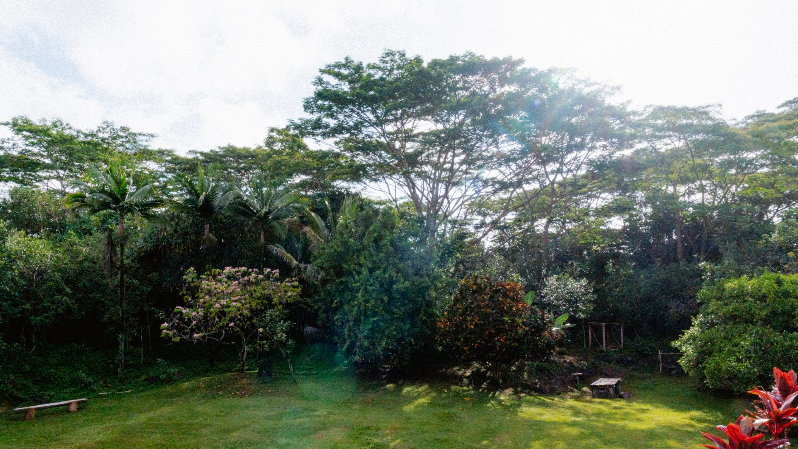 Cabin in Pahoa · ★4.96 · 1 bedroom · 4 beds · 1 private bath - Image 31