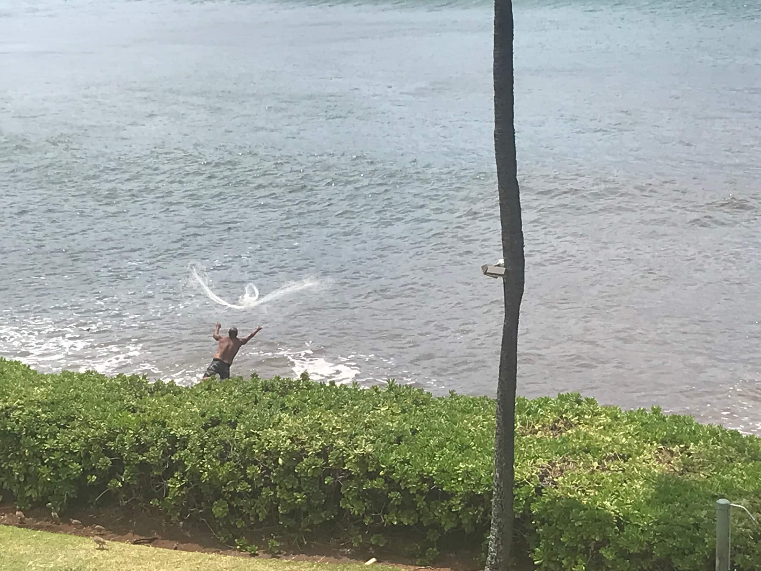 Condo in Wailuku · ★4.97 · 1 bedroom · 1 bed · 1 bath - Image 38