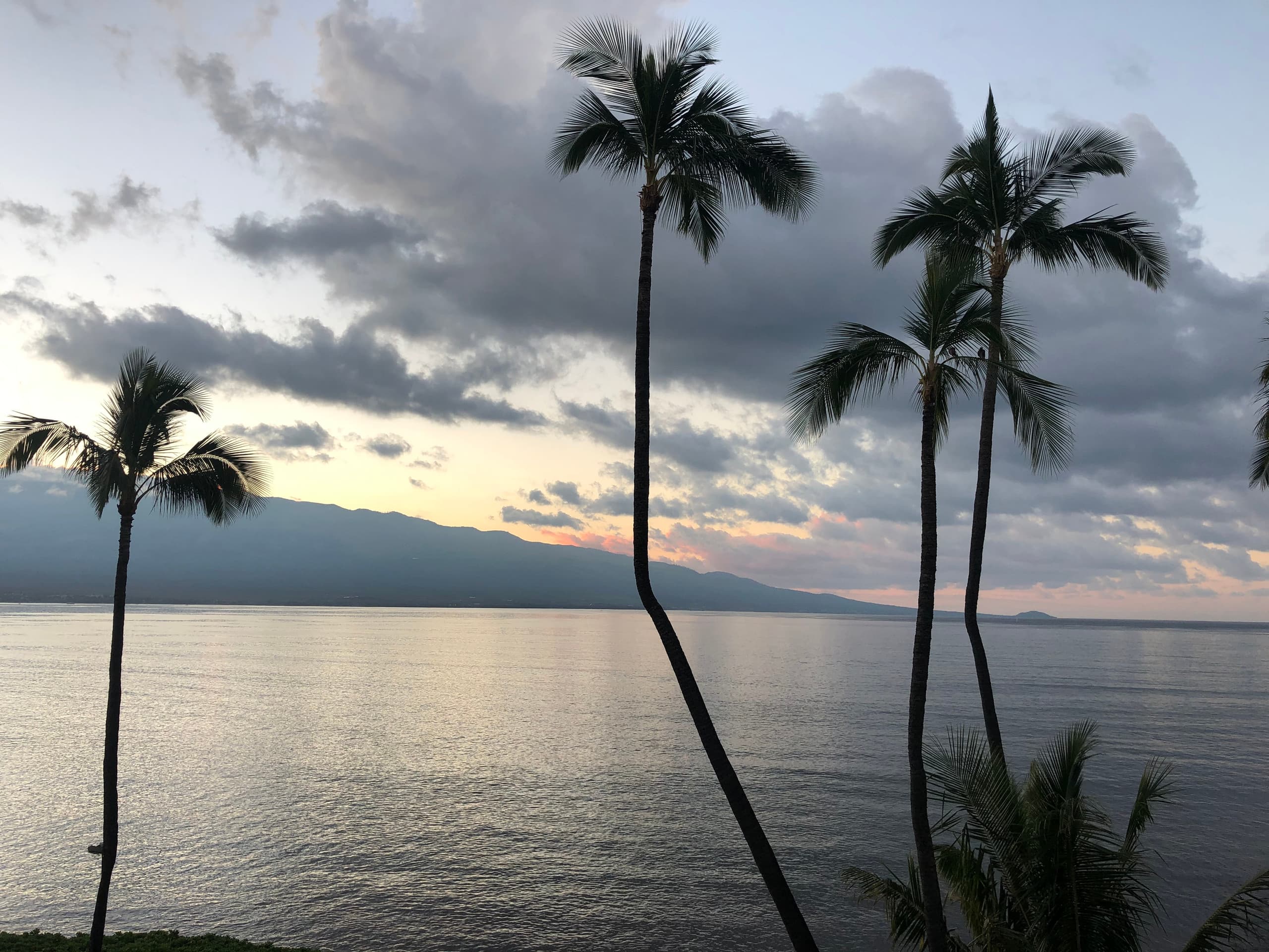 Condo in Wailuku · ★4.97 · 1 bedroom · 1 bed · 1 bath - Image 33