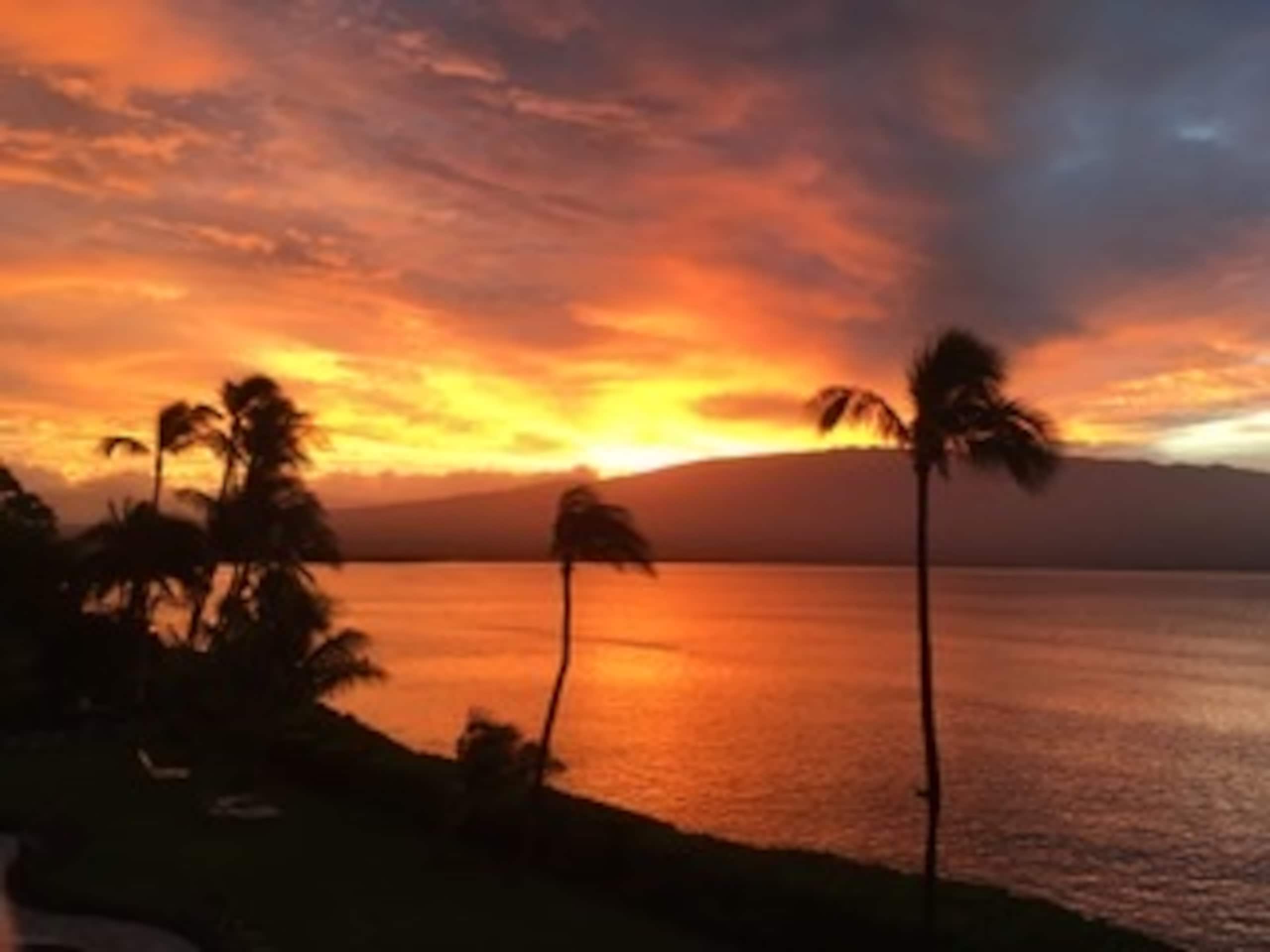 Condo in Wailuku · ★4.97 · 1 bedroom · 1 bed · 1 bath - Image 35