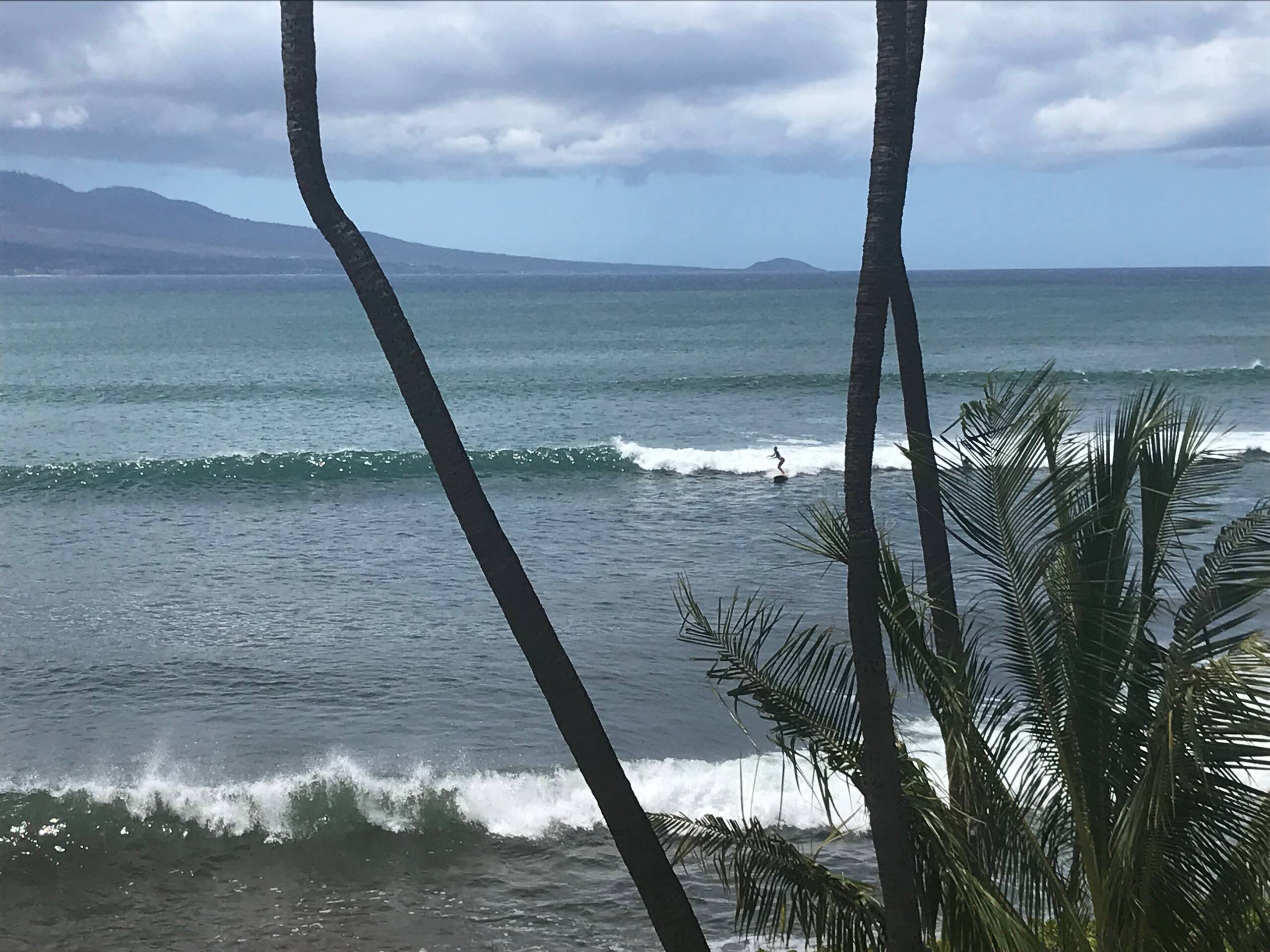 Condo in Wailuku · ★4.97 · 1 bedroom · 1 bed · 1 bath - Image 31