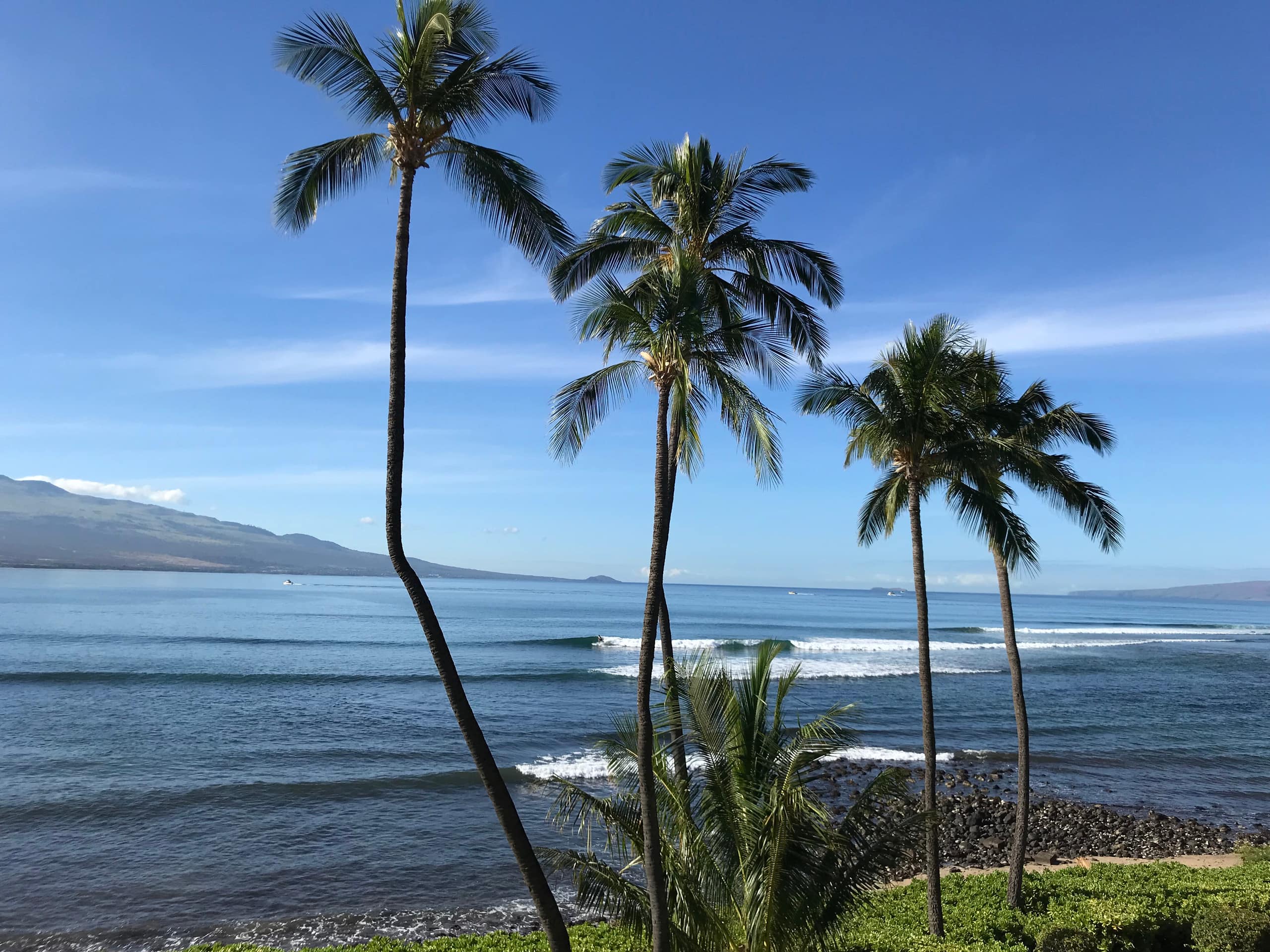Condo in Wailuku · ★4.97 · 1 bedroom · 1 bed · 1 bath - Image 36