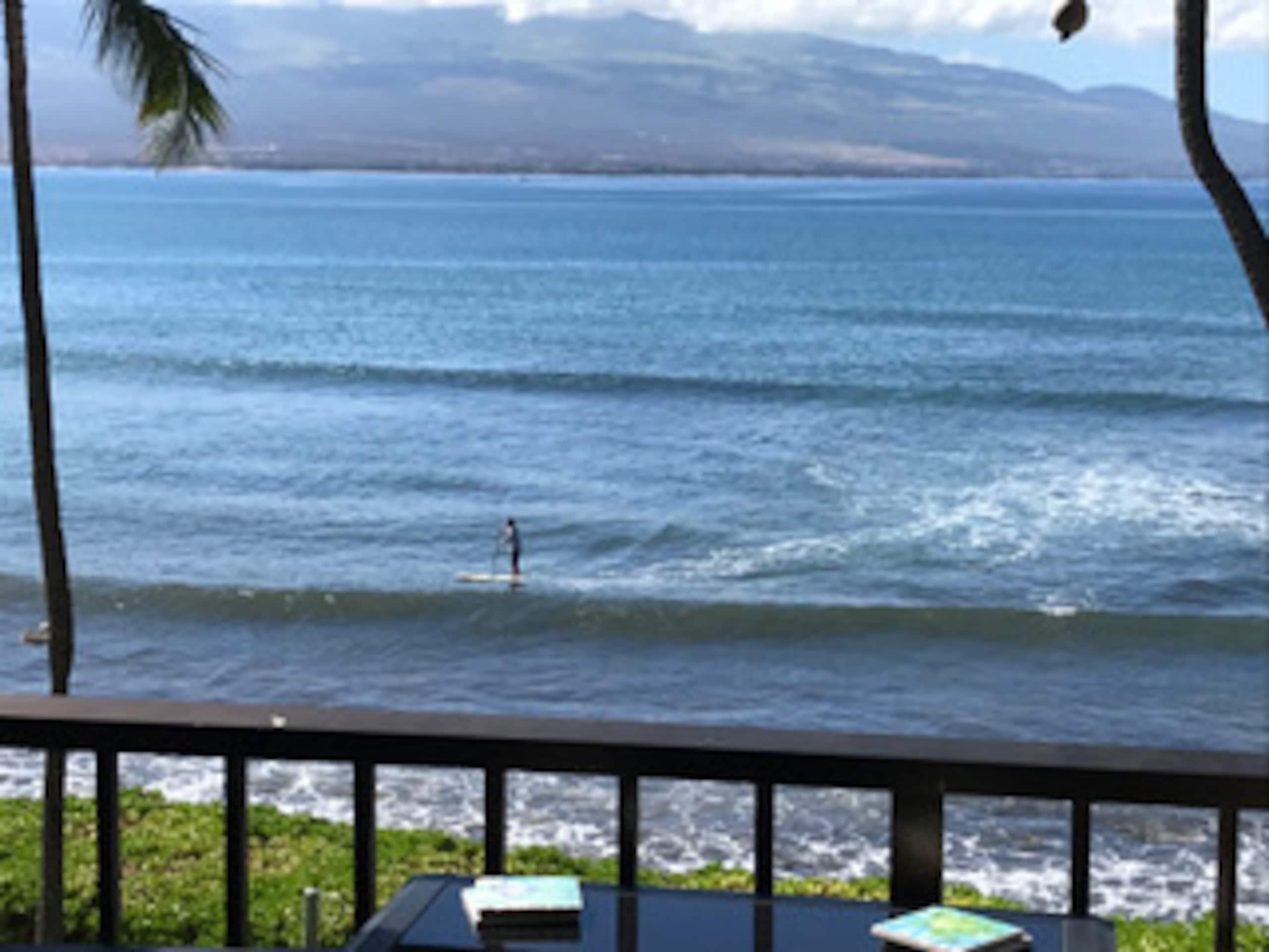 Condo in Wailuku · ★4.97 · 1 bedroom · 1 bed · 1 bath - Image 29