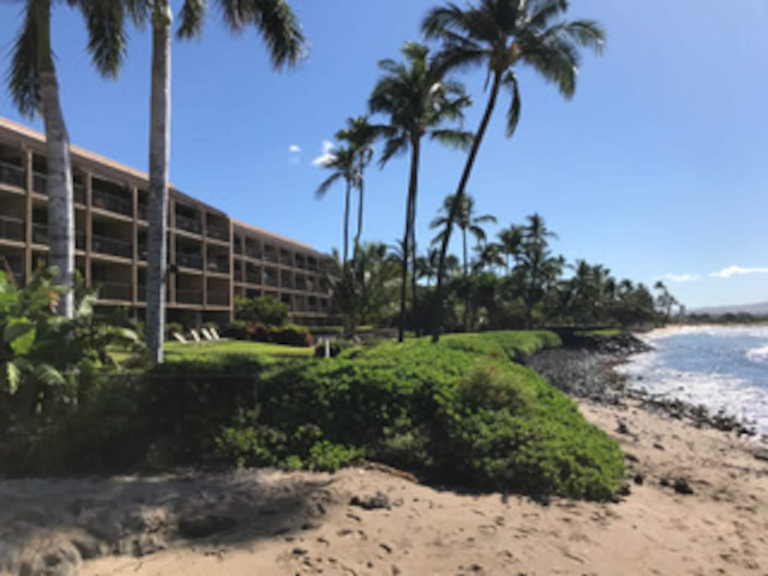 Condo in Wailuku · ★4.97 · 1 bedroom · 1 bed · 1 bath - Image 43