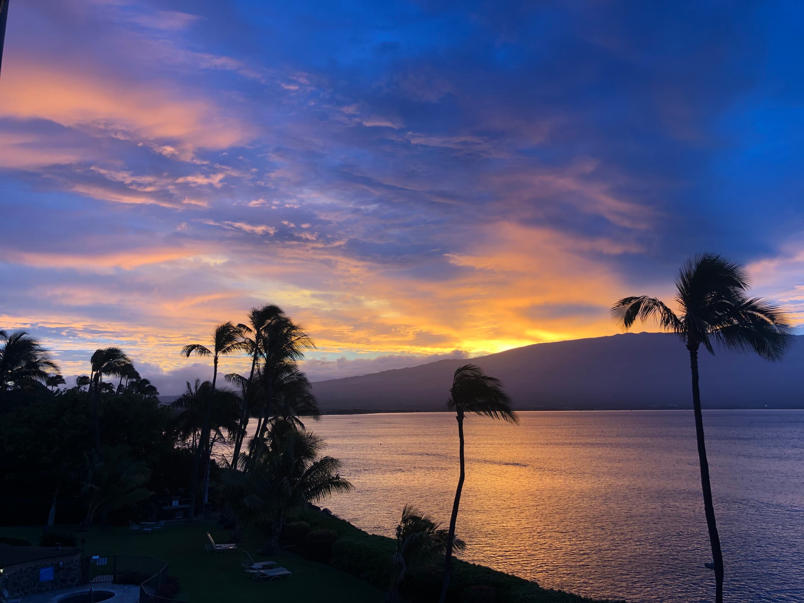 Condo in Wailuku · ★4.97 · 1 bedroom · 1 bed · 1 bath - Image 39