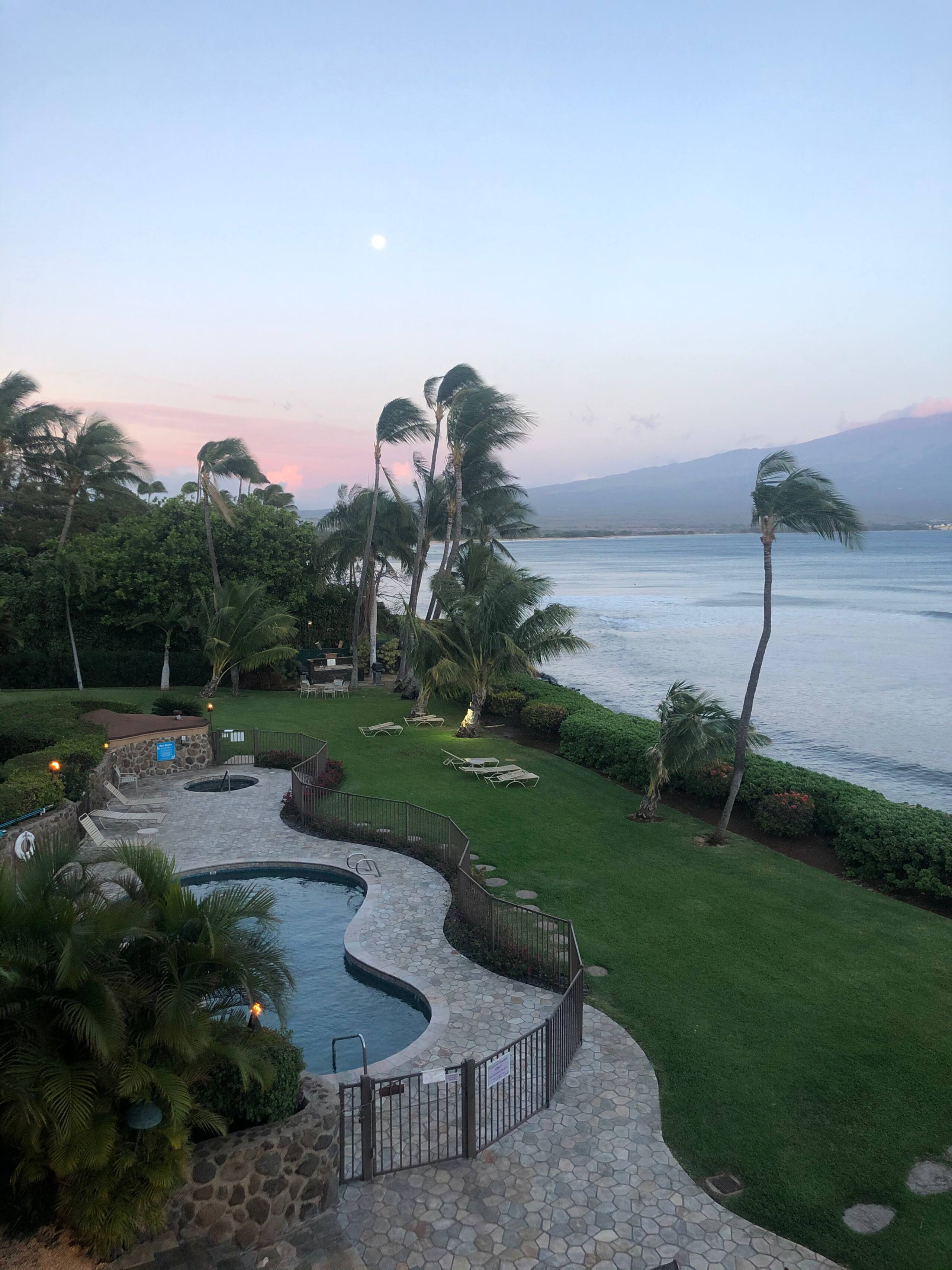 Condo in Wailuku · ★4.97 · 1 bedroom · 1 bed · 1 bath - Image 27