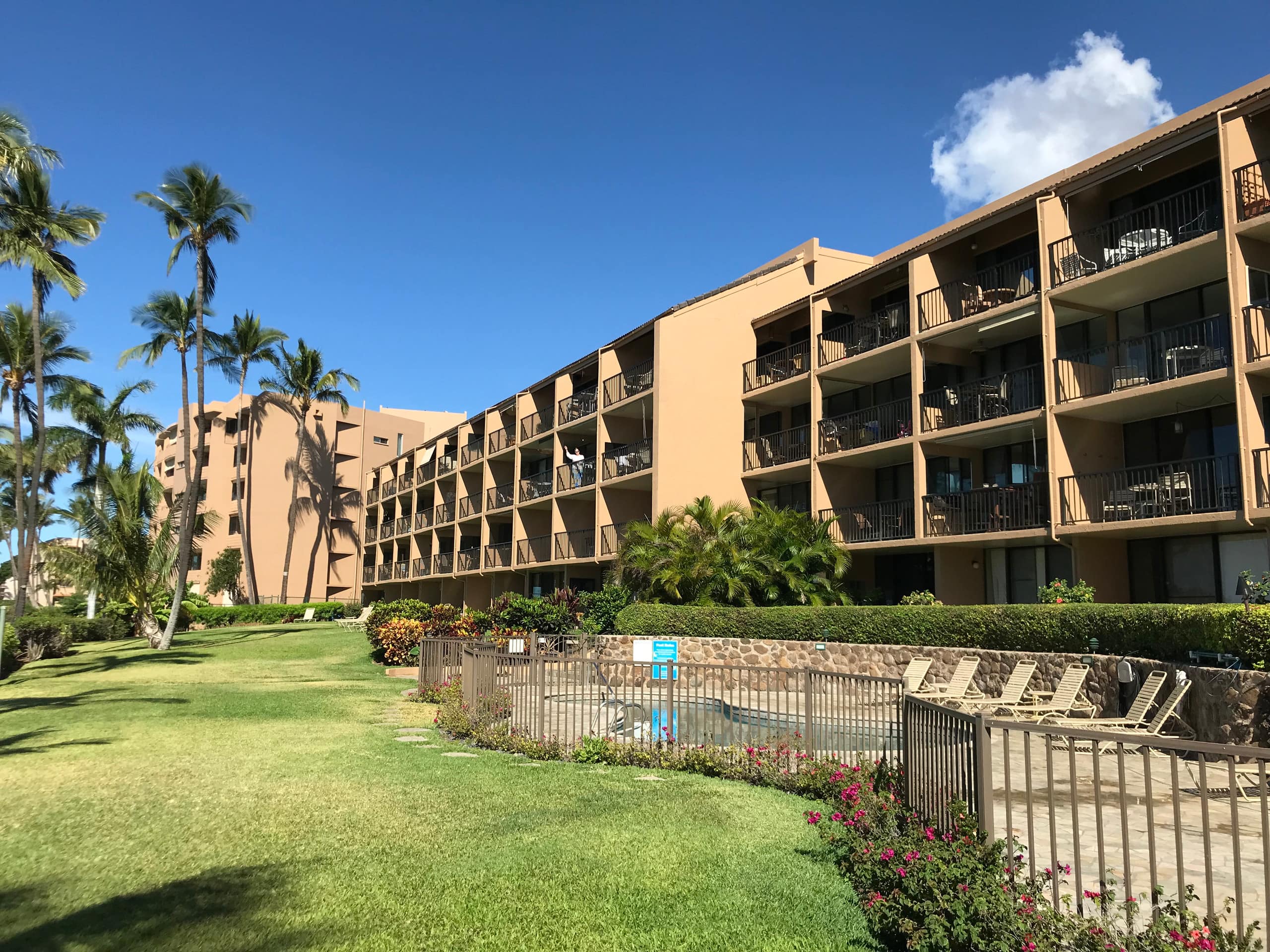 Condo in Wailuku · ★4.97 · 1 bedroom · 1 bed · 1 bath - Image 45