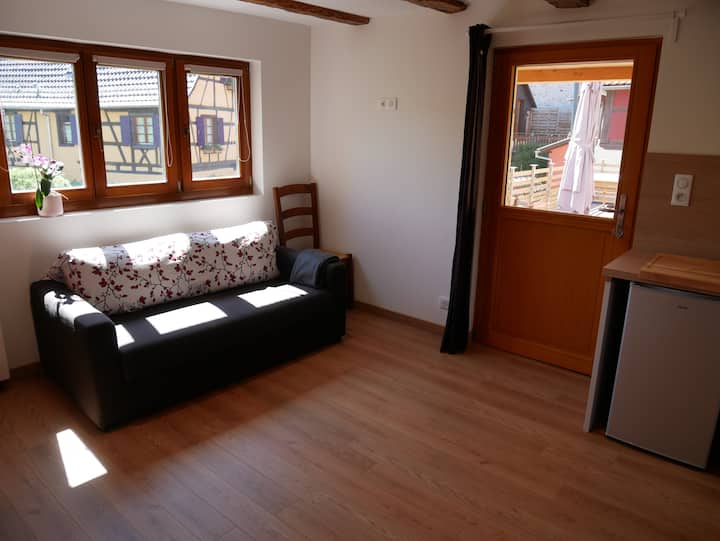 Joli Studio Au Calme Au Cœur Du Vignoble, Hunawihr - Riquewihr