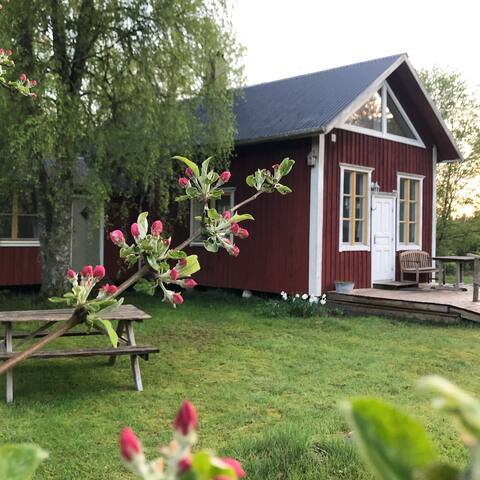 Close to nature studio with fireplace