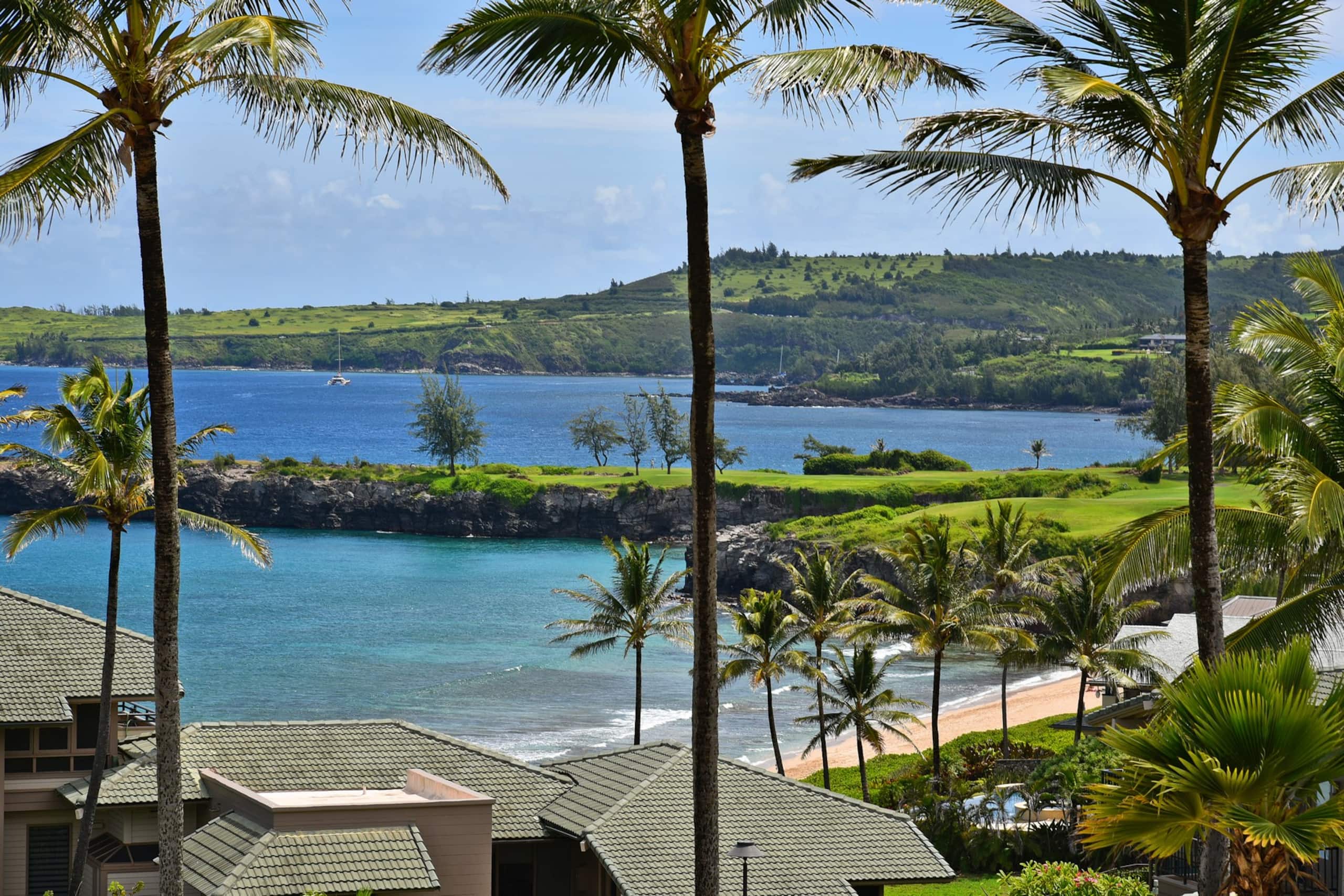 Condo in Lahaina · ★4.92 · 1 bedroom · 2 beds · 1 bath - Image 8