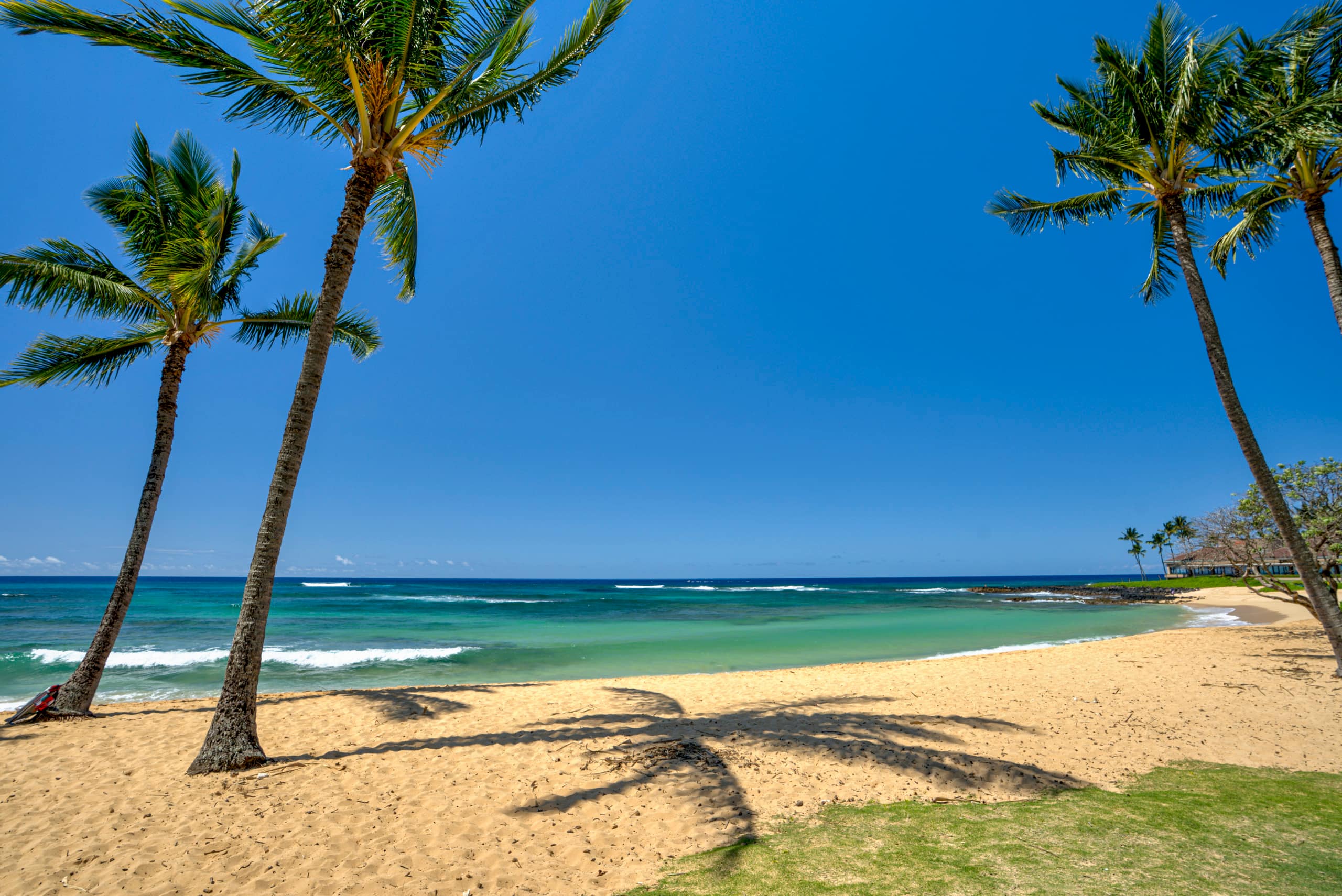 Tropical Paradise, Ocean views, Kiahuna - Photo 50